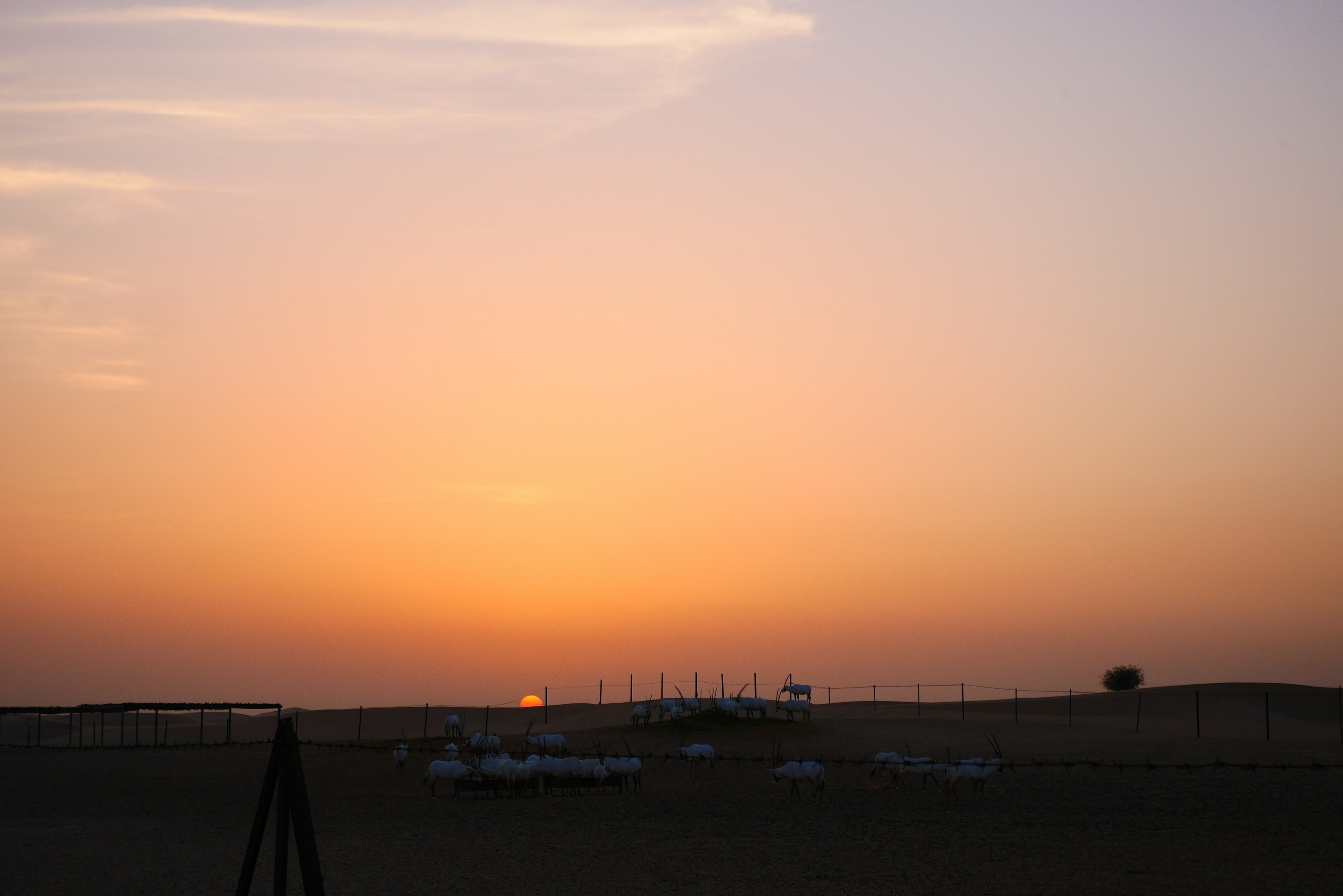 Eine malerische Aussicht auf einen schönen orangefarbenen Himmel bei Sonnenuntergang