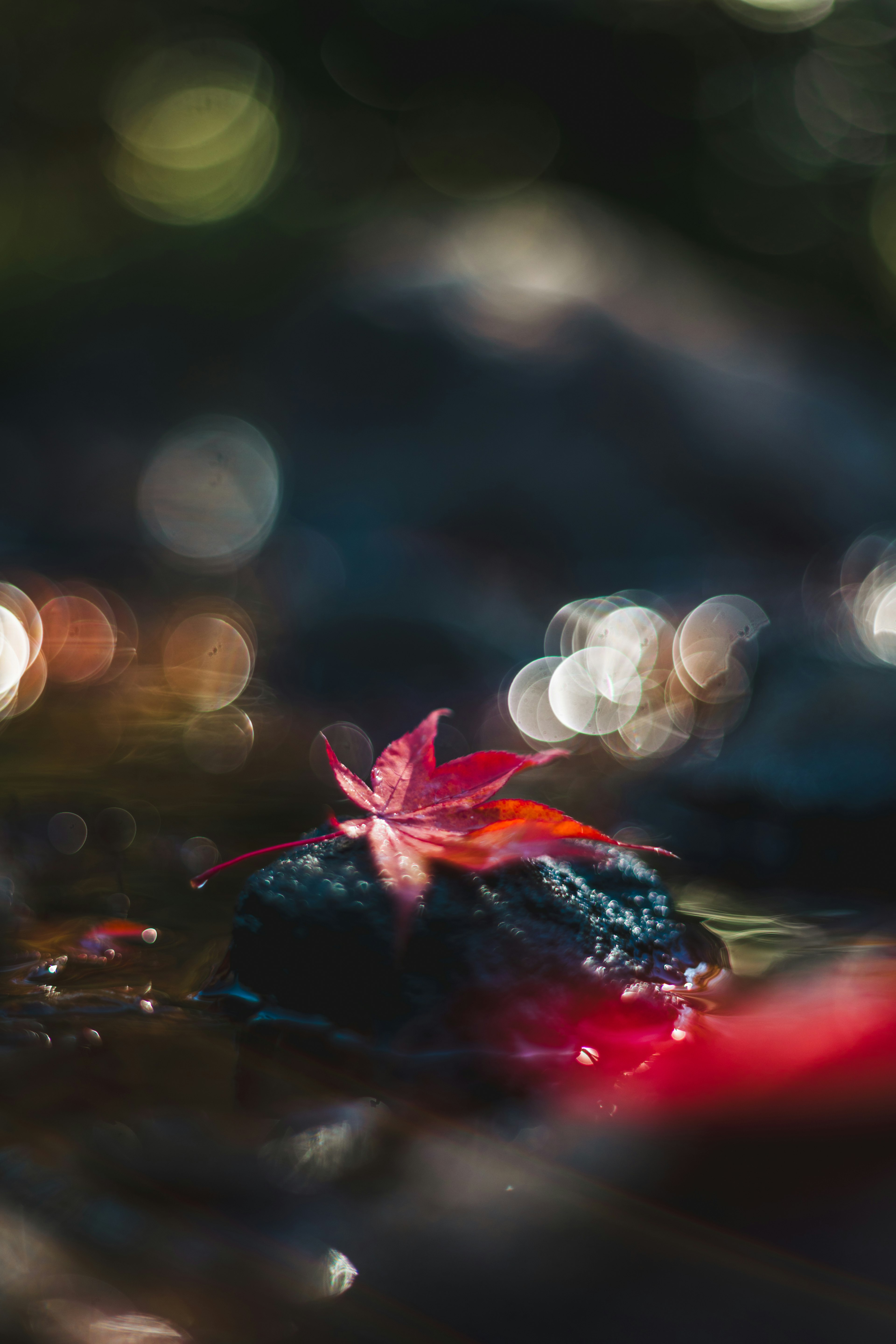 水面に浮かぶ紅葉の葉とぼかしのある光の反射