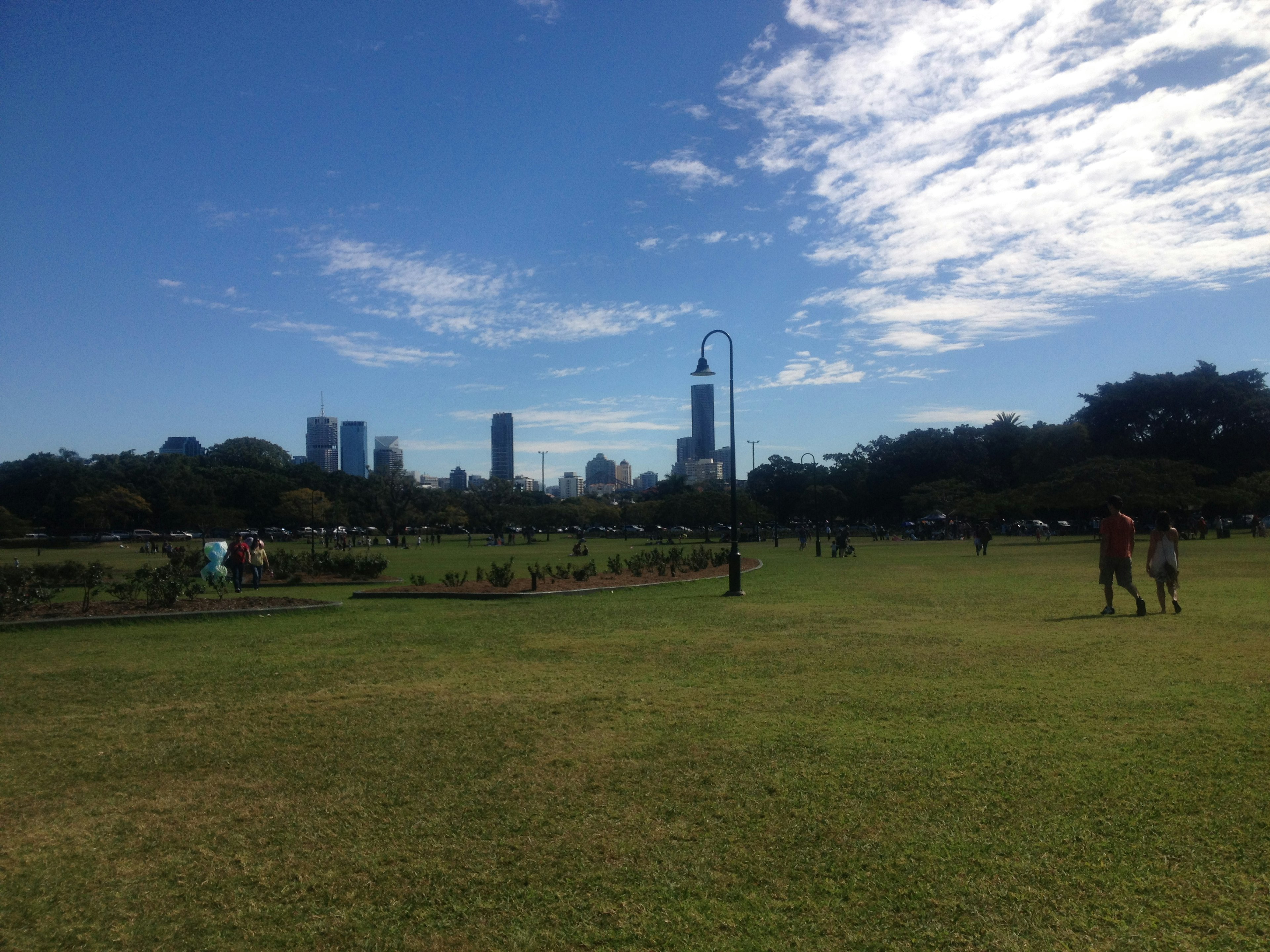 Wide park landscape with city skyline