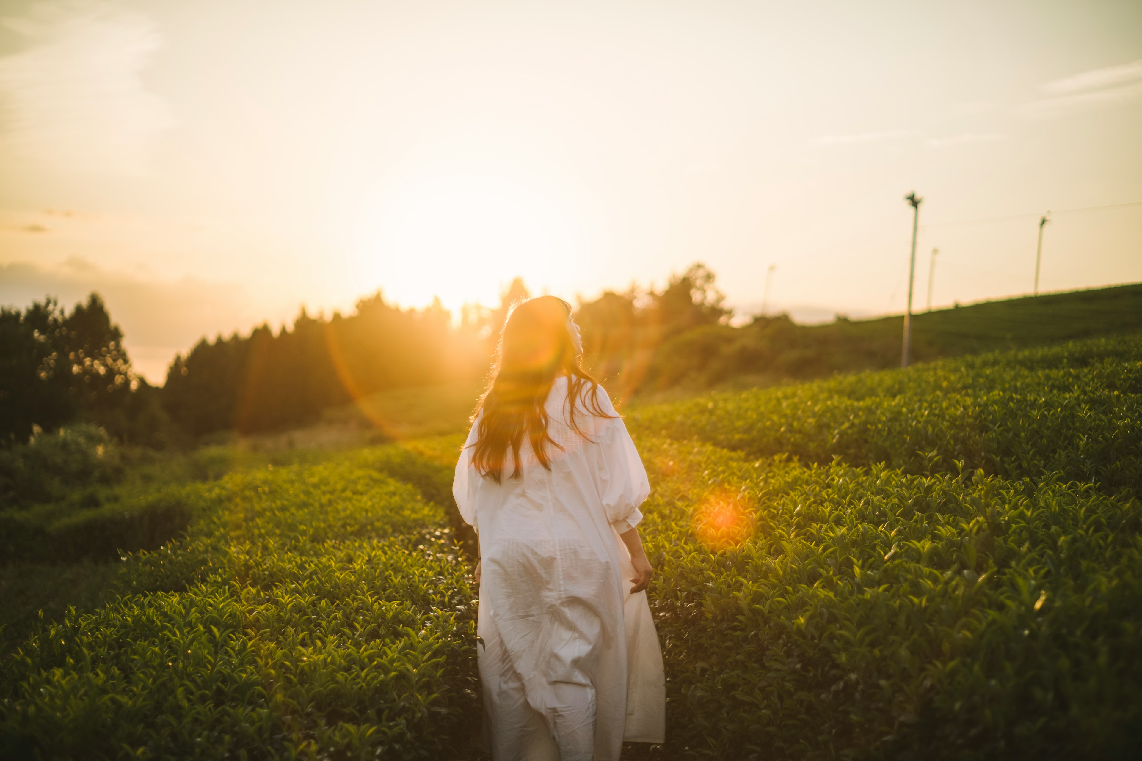 Una donna in abito bianco che cammina attraverso un campo di tè verde con il tramonto sullo sfondo