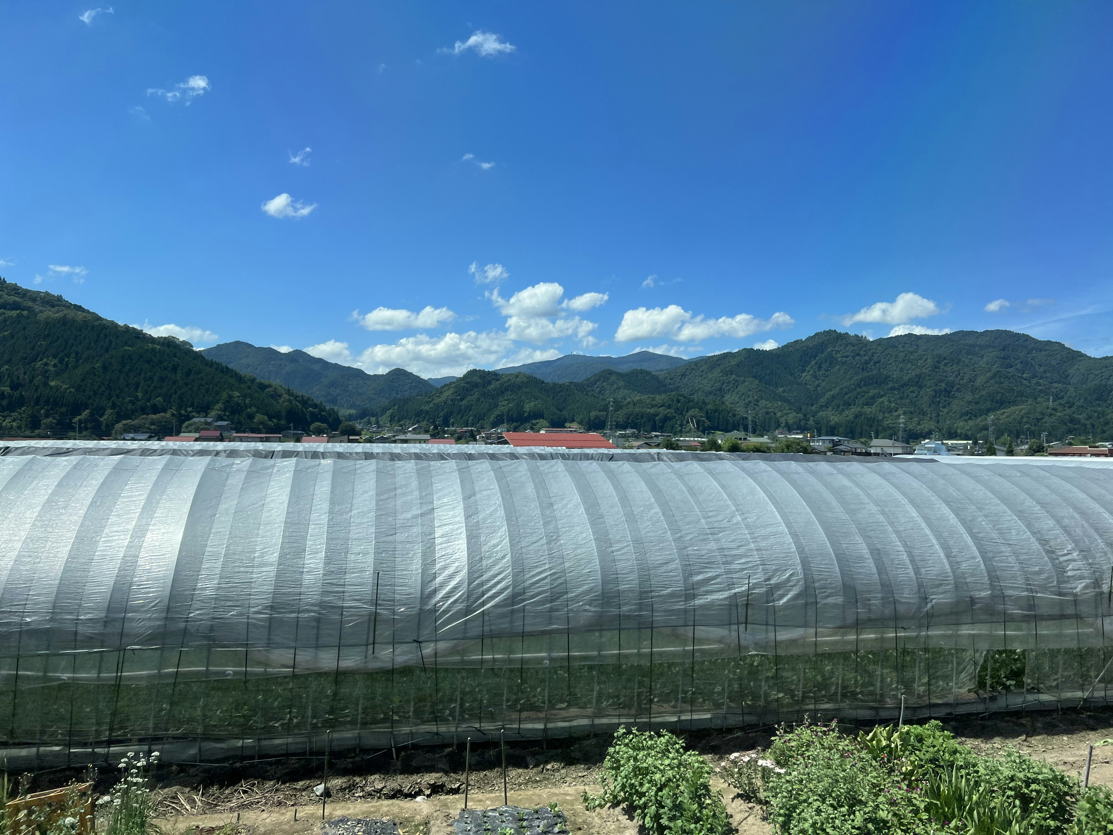 農業用ハウスと山々の景色