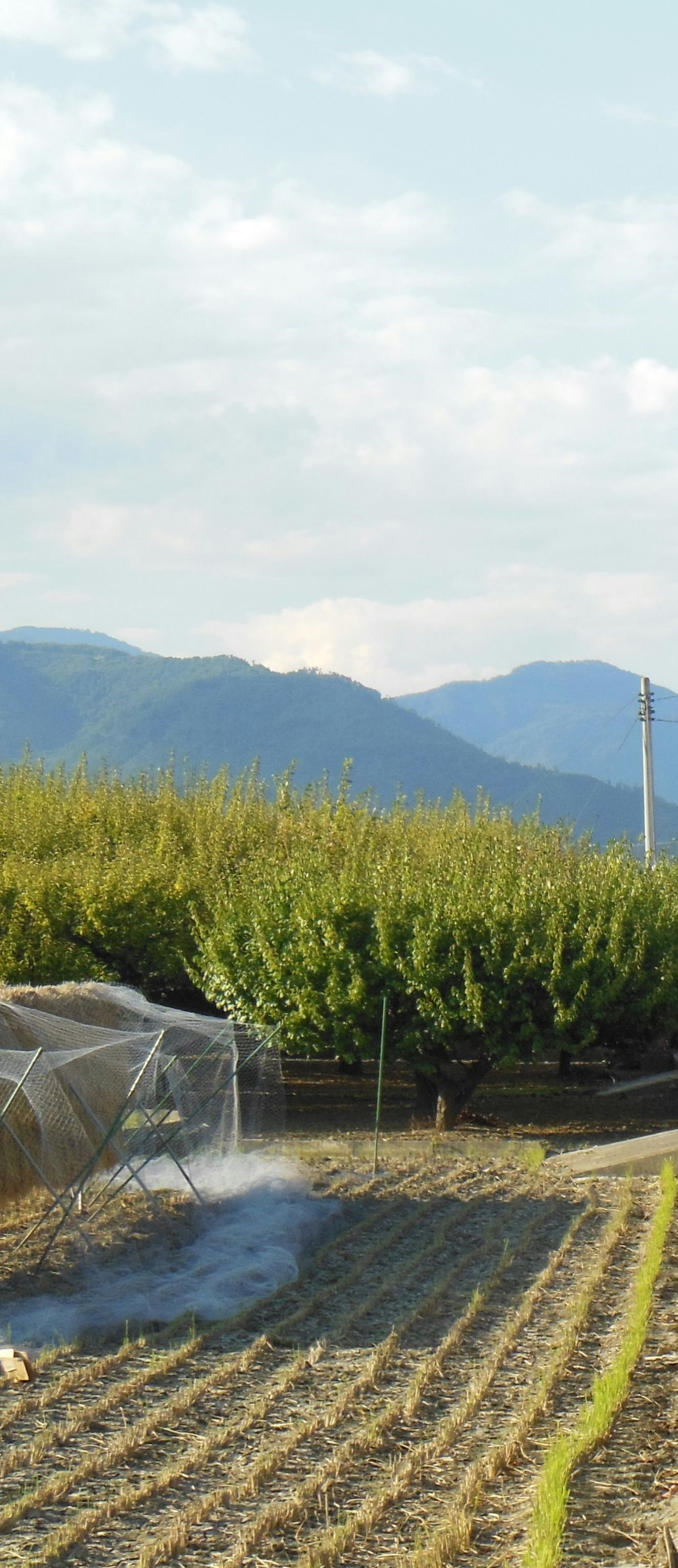 Landschaft mit Bauernhof, Bergen und blauem Himmel mit Bewässerungssprühnebel