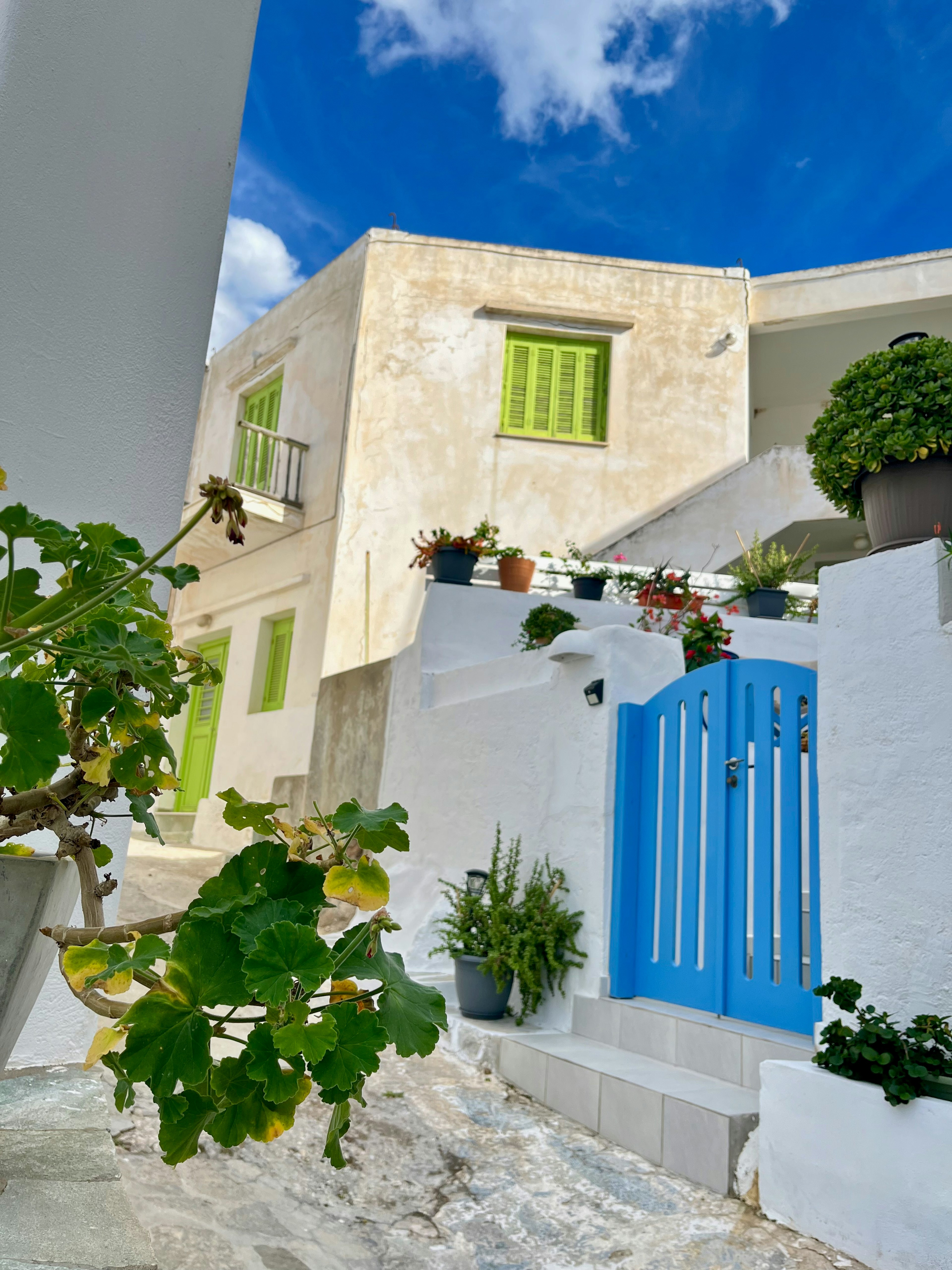 A scenic view of a white building with a blue door and green windows