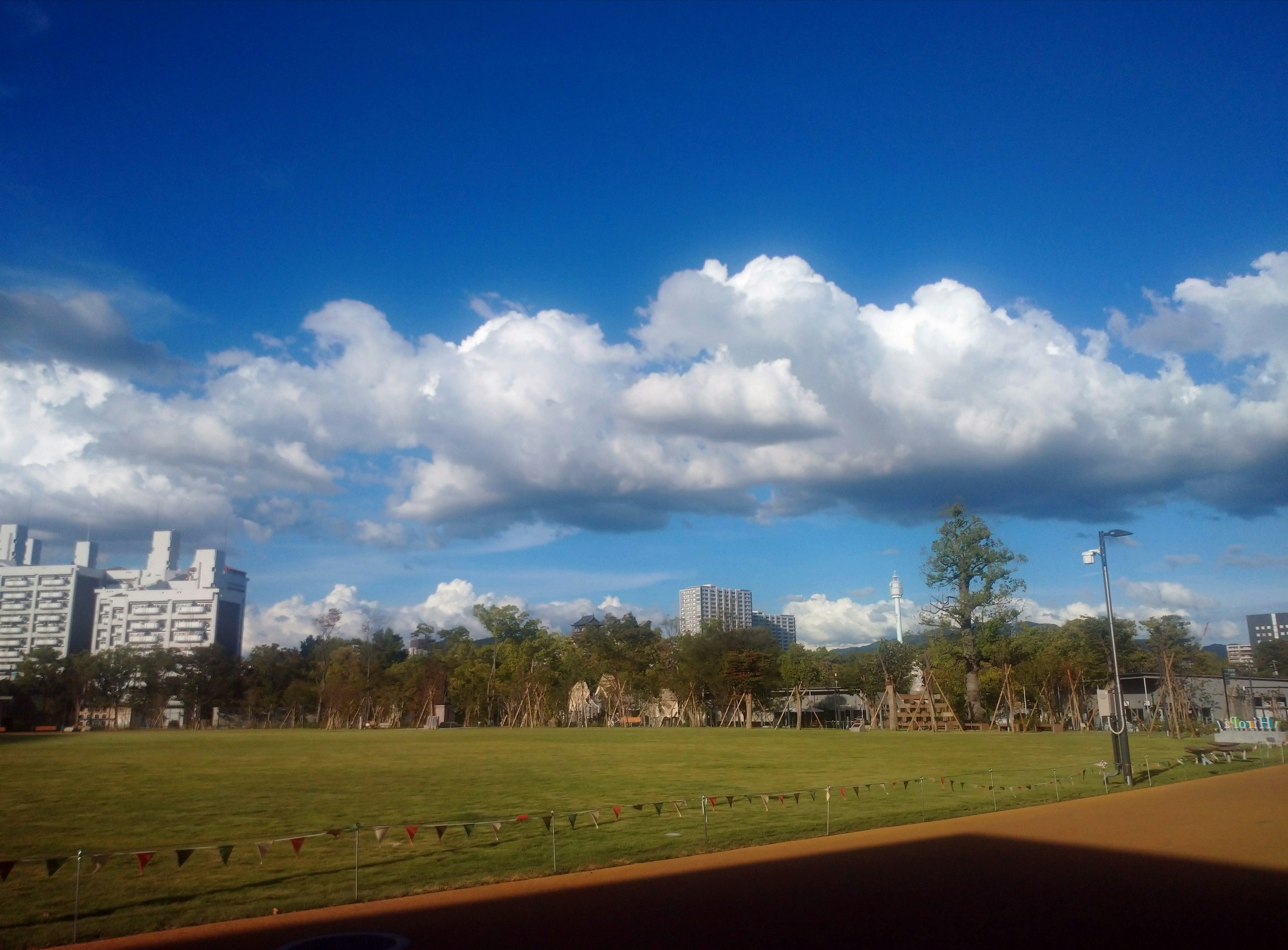 Paesaggio del parco con cielo blu e nuvole bianche erba verde e grattacieli