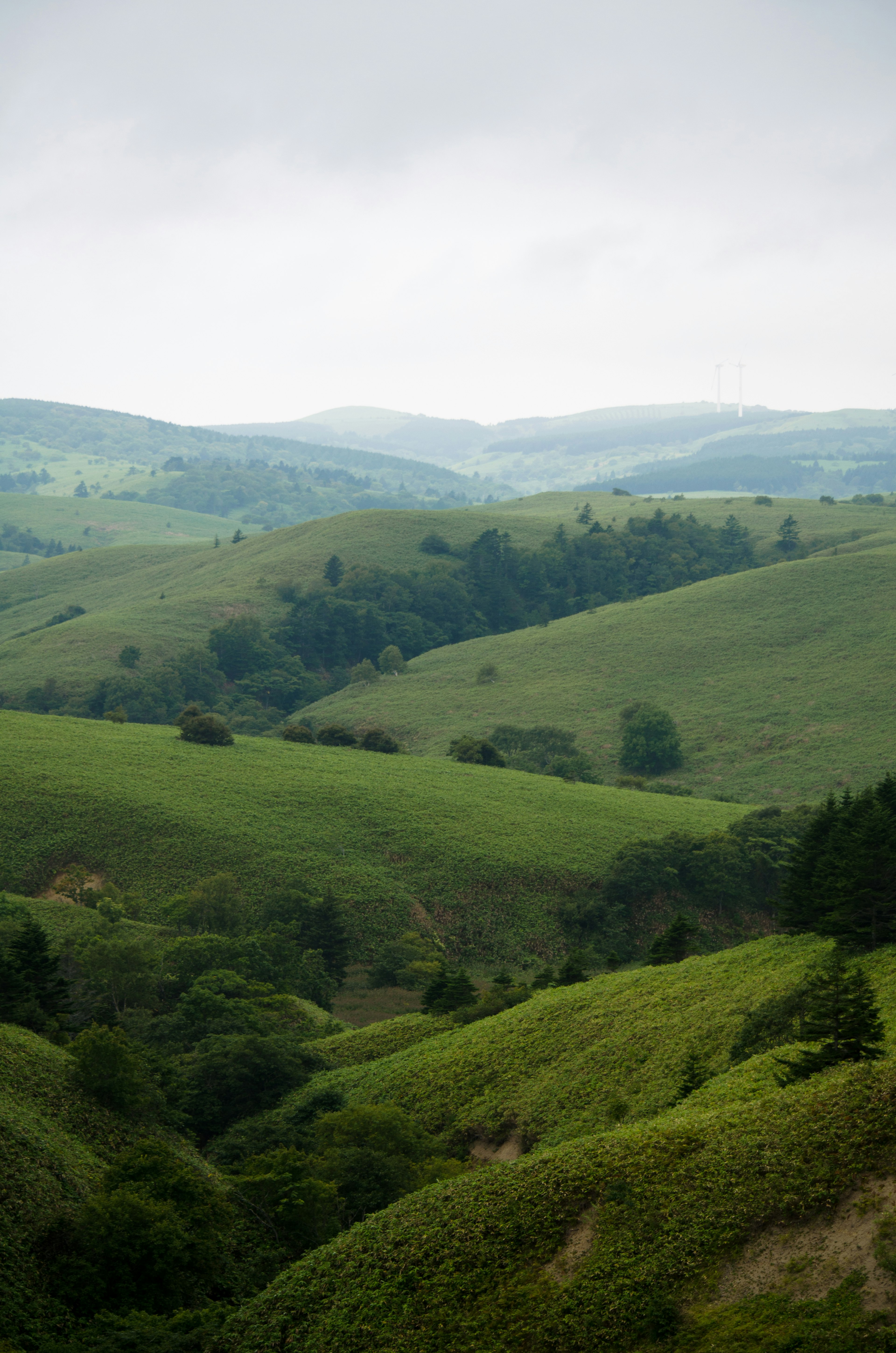 Lush green rolling hills landscape