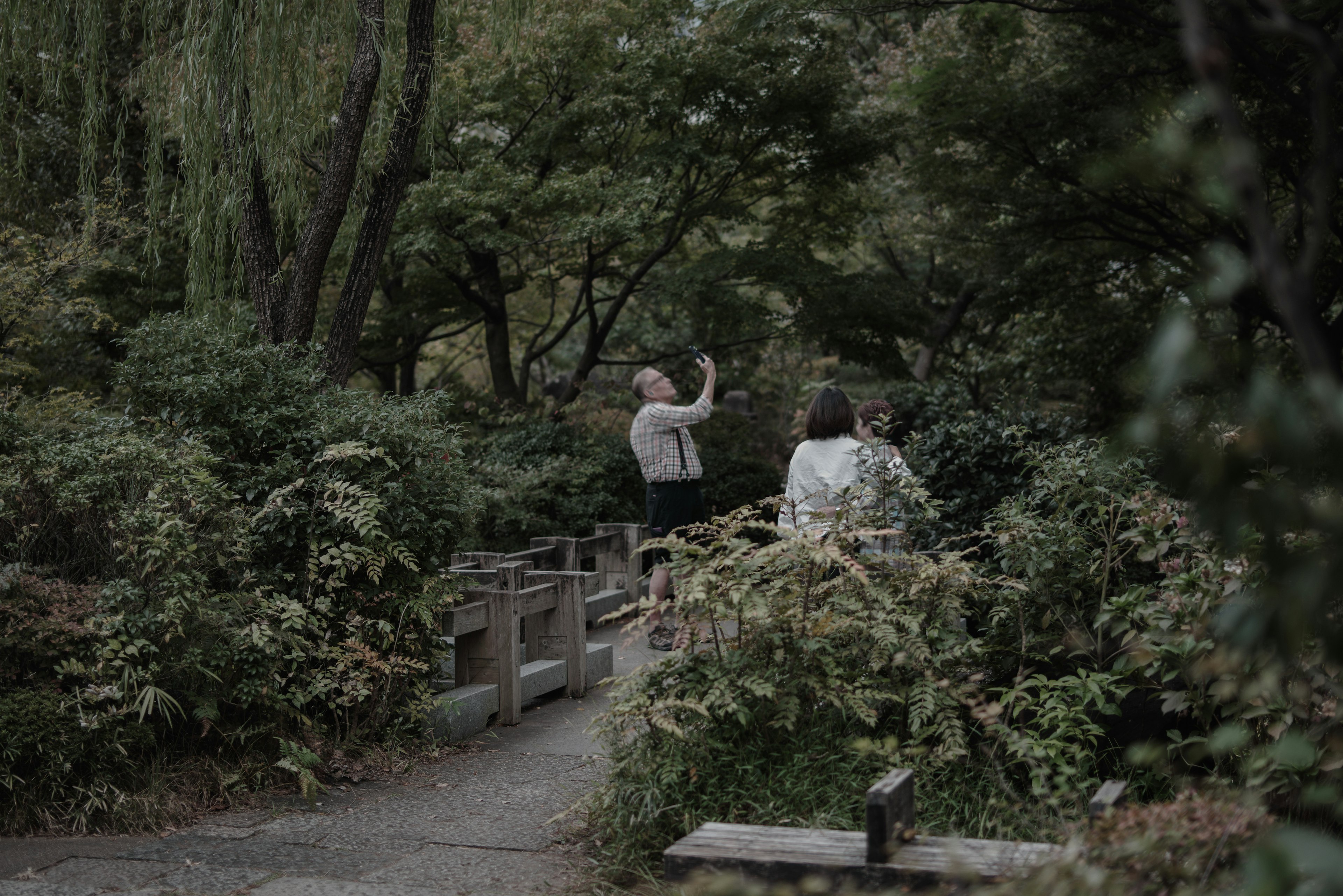 Two people walking on a quiet path in a park surrounded by green trees and plants