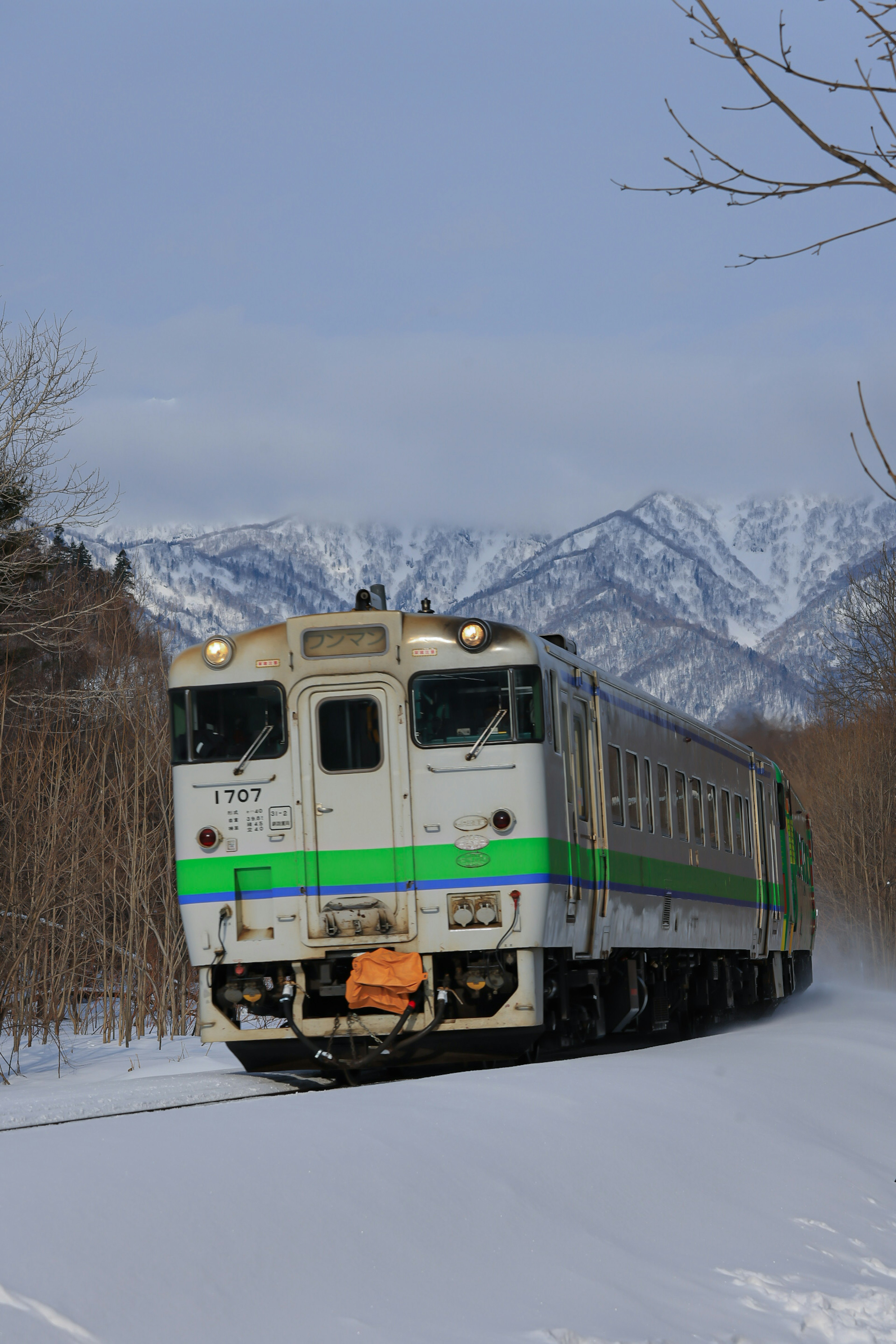 雪に覆われた線路を走る緑と白の列車と山々の風景