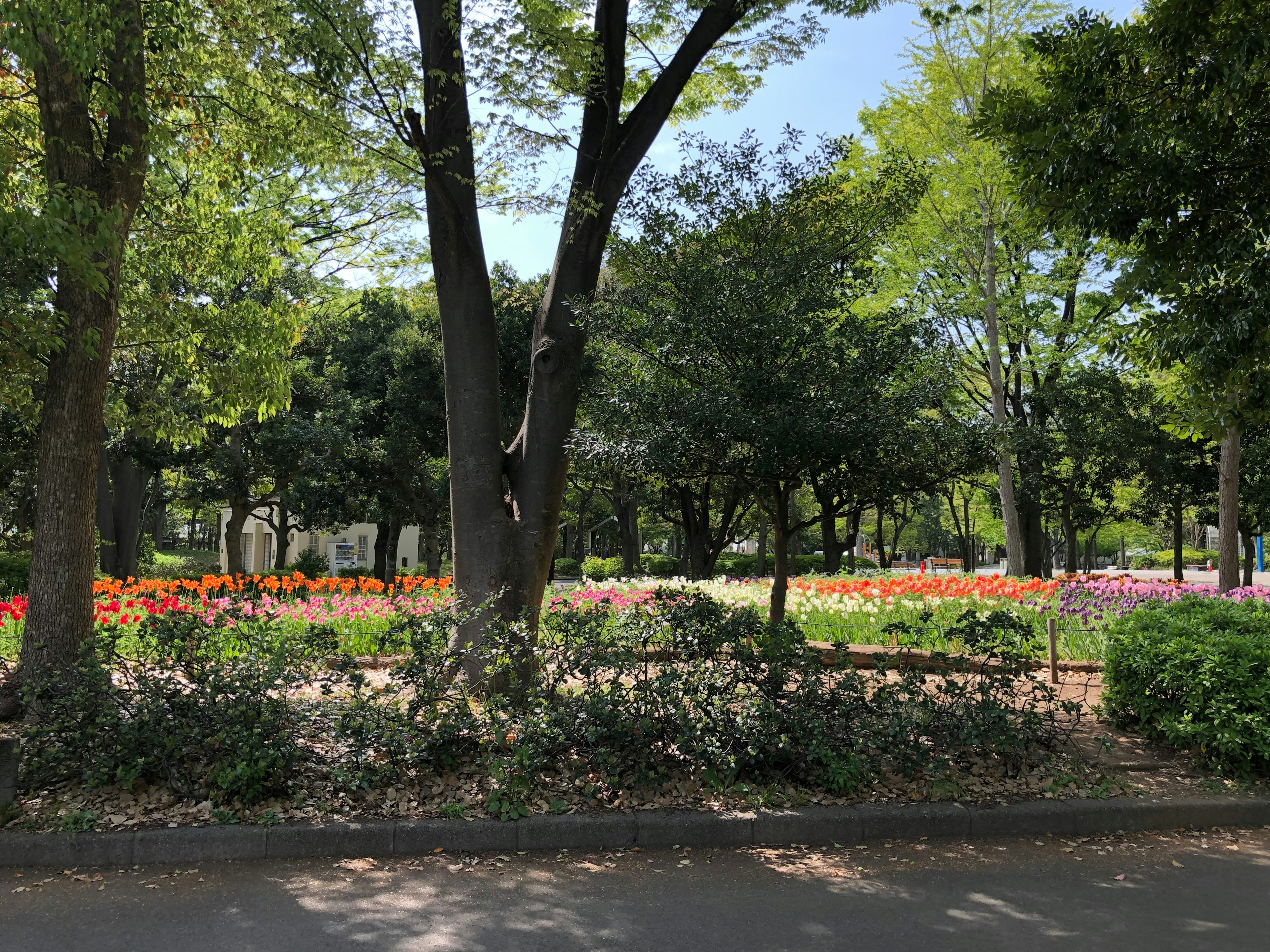 公園的美麗景色，有綠色的樹木和五彩繽紛的花朵