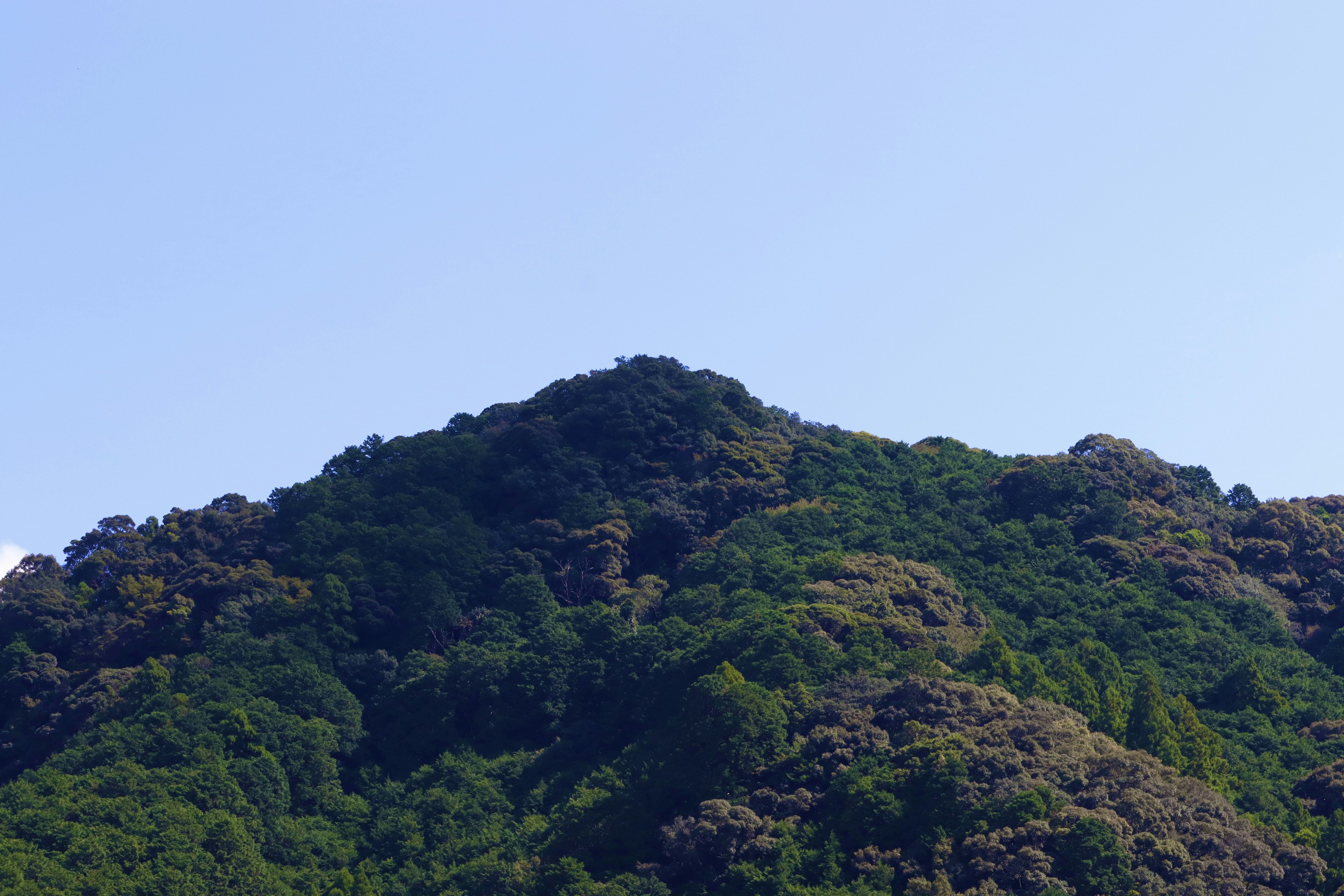 Una vetta di montagna coperta di vegetazione contro un cielo azzurro