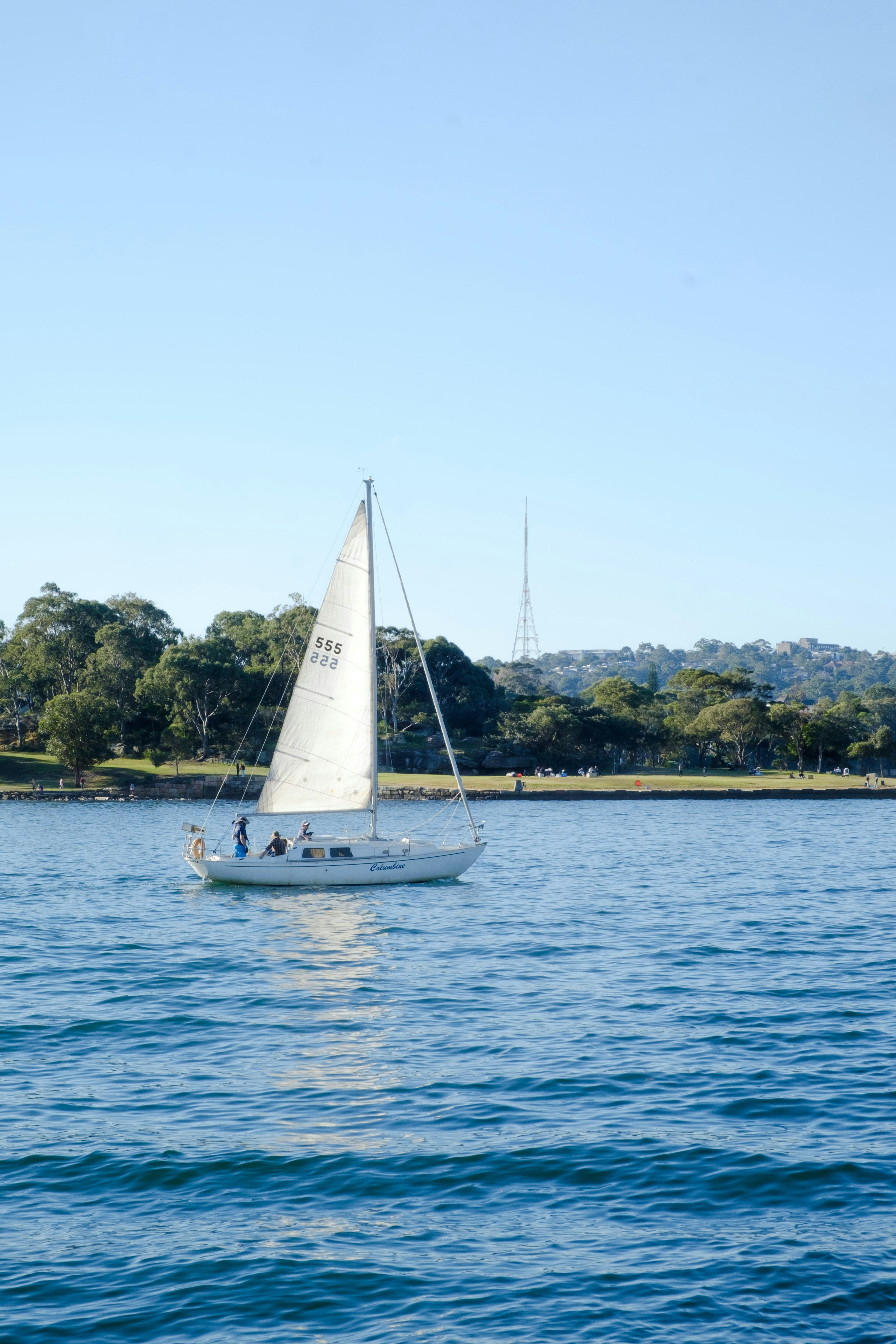 A white sailboat sailing on calm waters under a clear blue sky