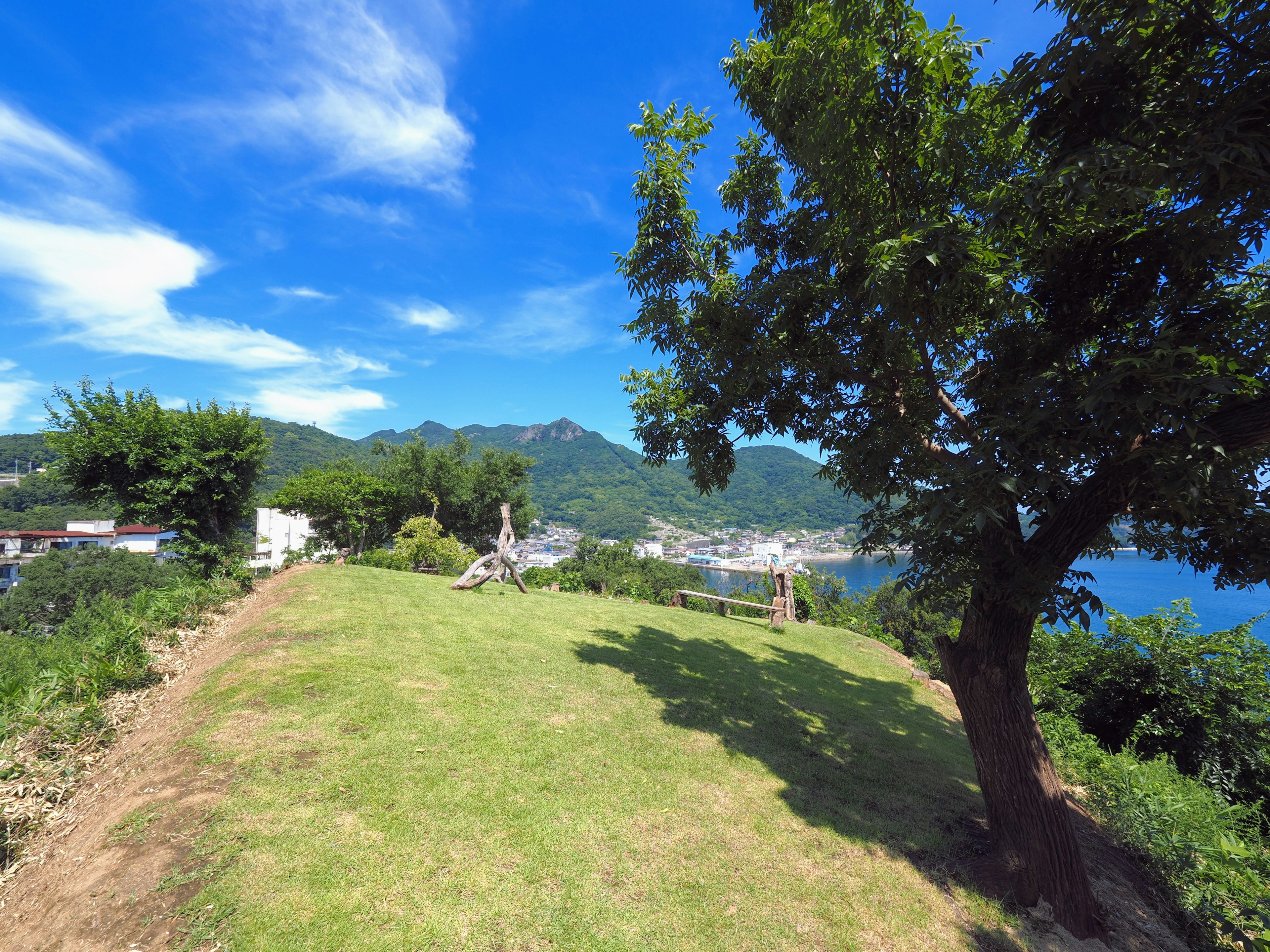 Paesaggio costiero con cielo blu e prato verde in primo piano