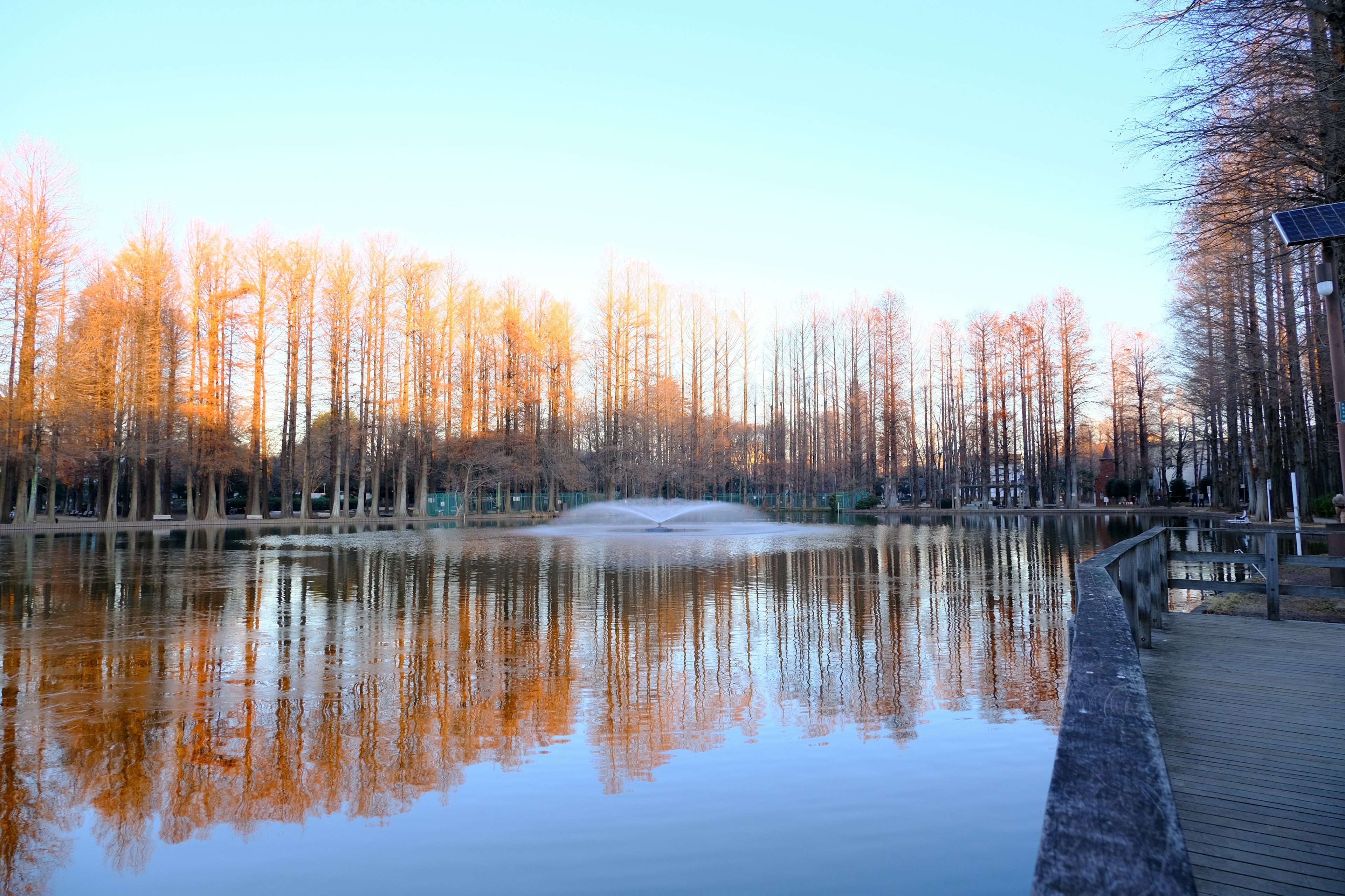 Serene lake reflecting orange trees and clear blue sky