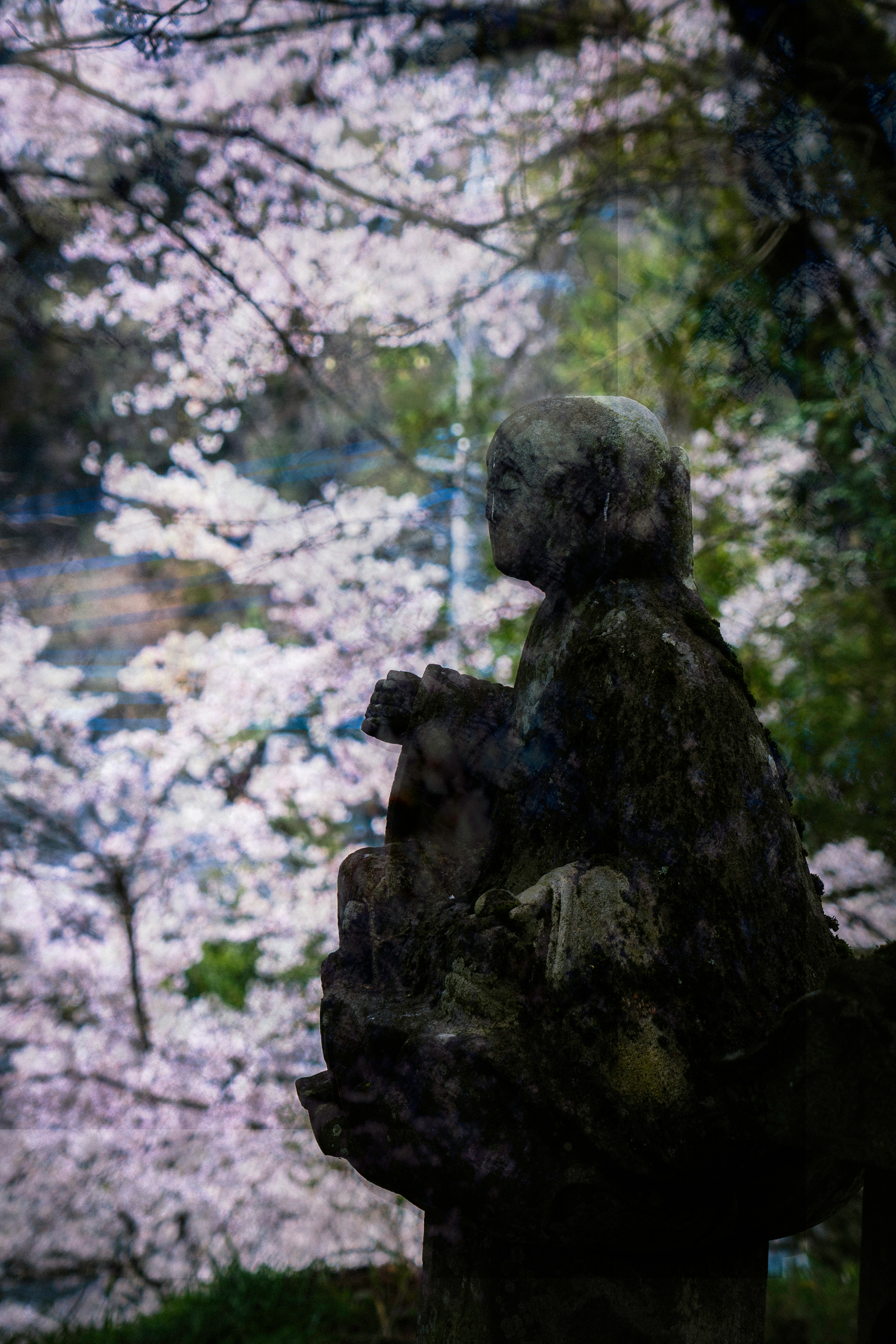 桜の花を背景にした静かな彫刻の像