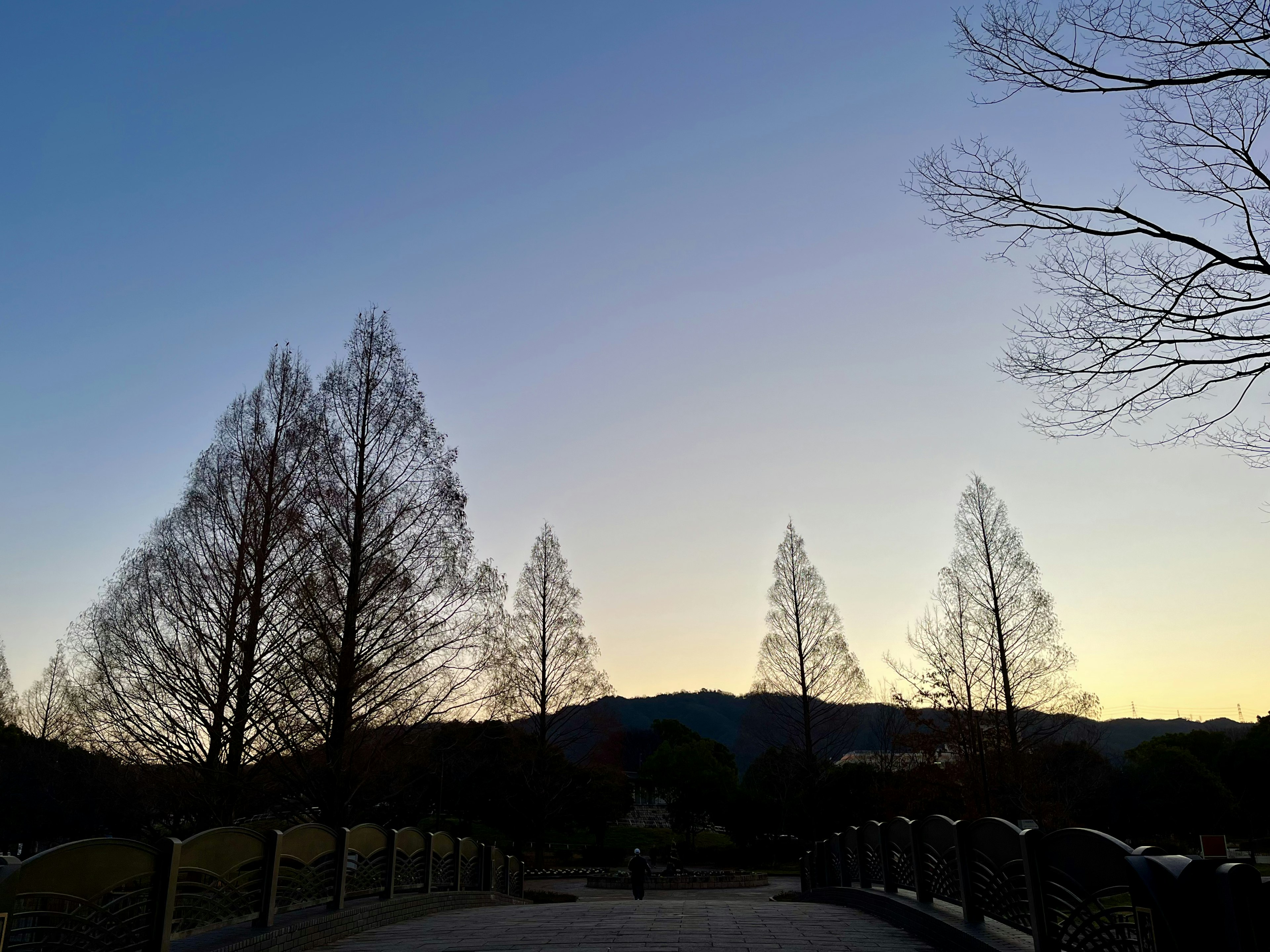 夕暮れ時の橋とシルエットの木々