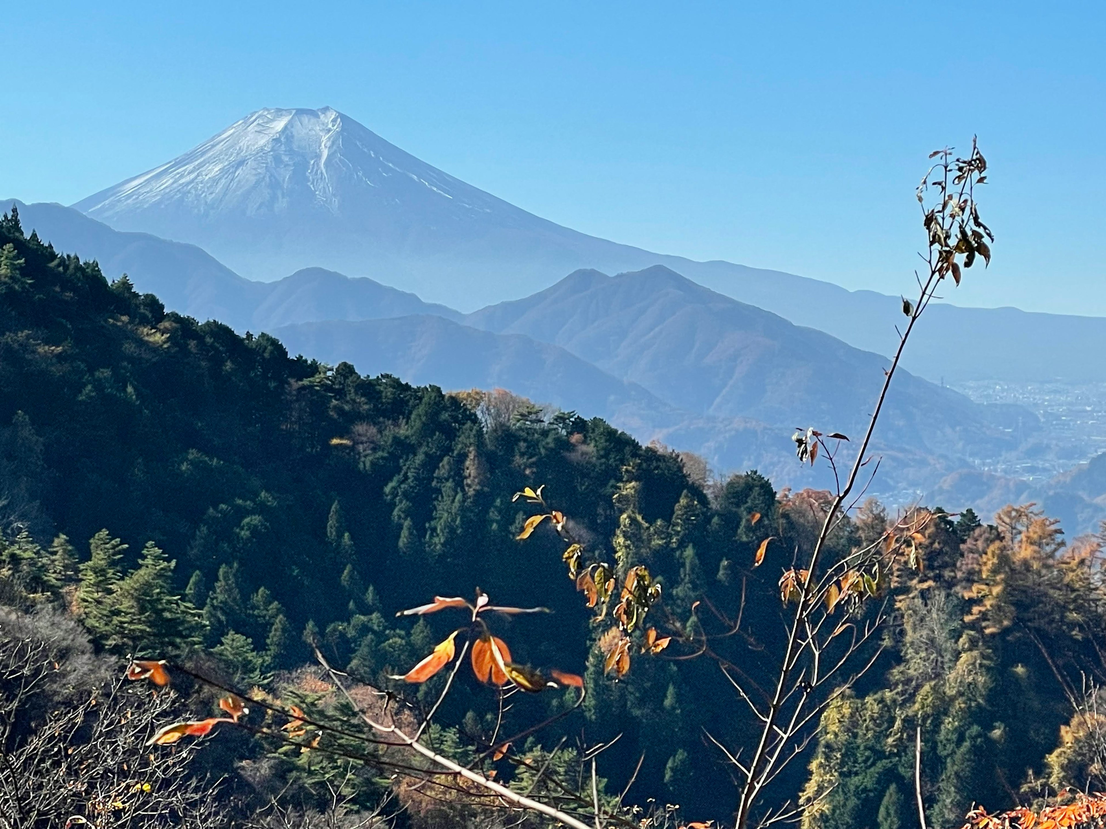 富士山を背景にした美しい山々と秋の木々