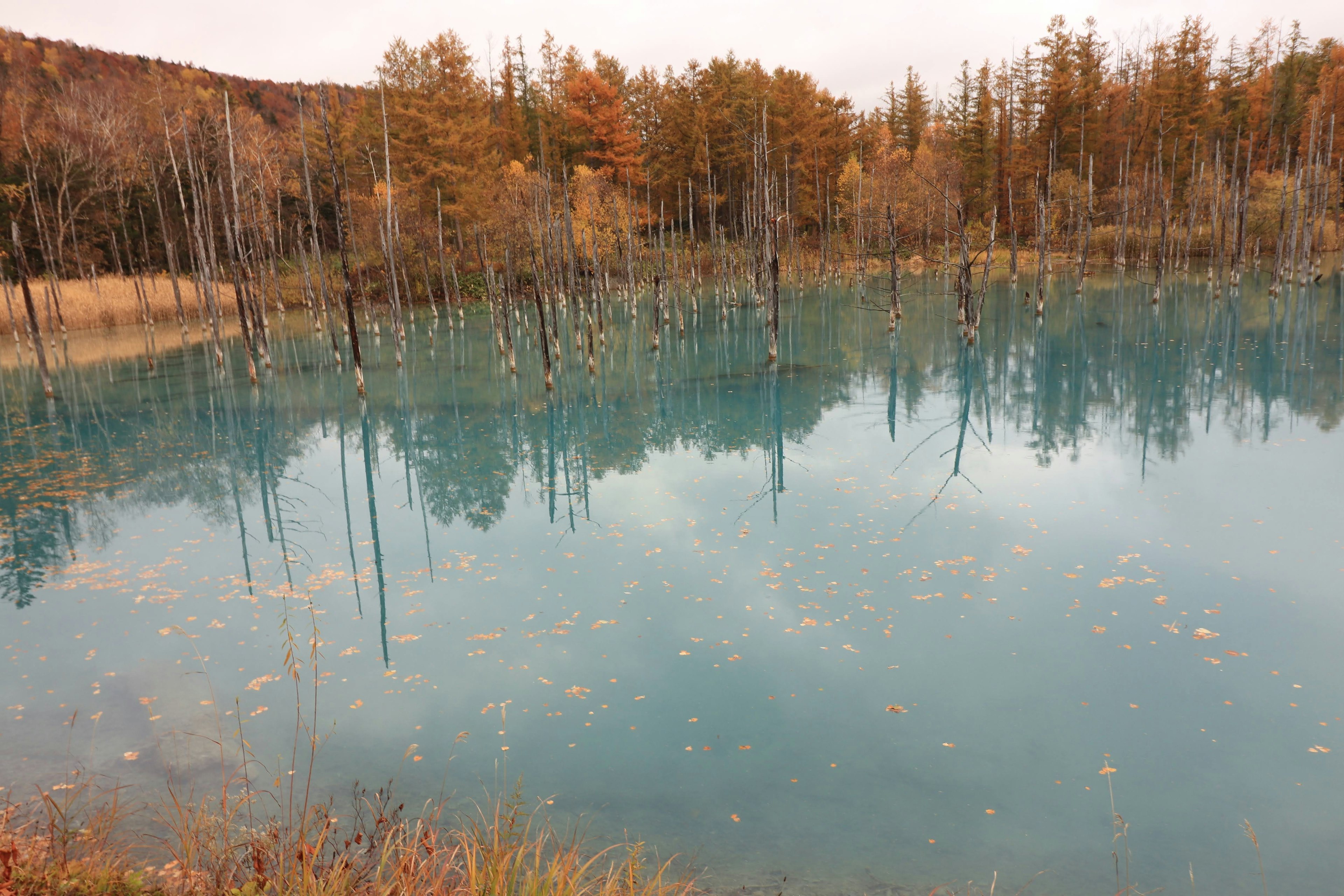 Danau tenang yang mencerminkan pohon musim gugur dan air biru