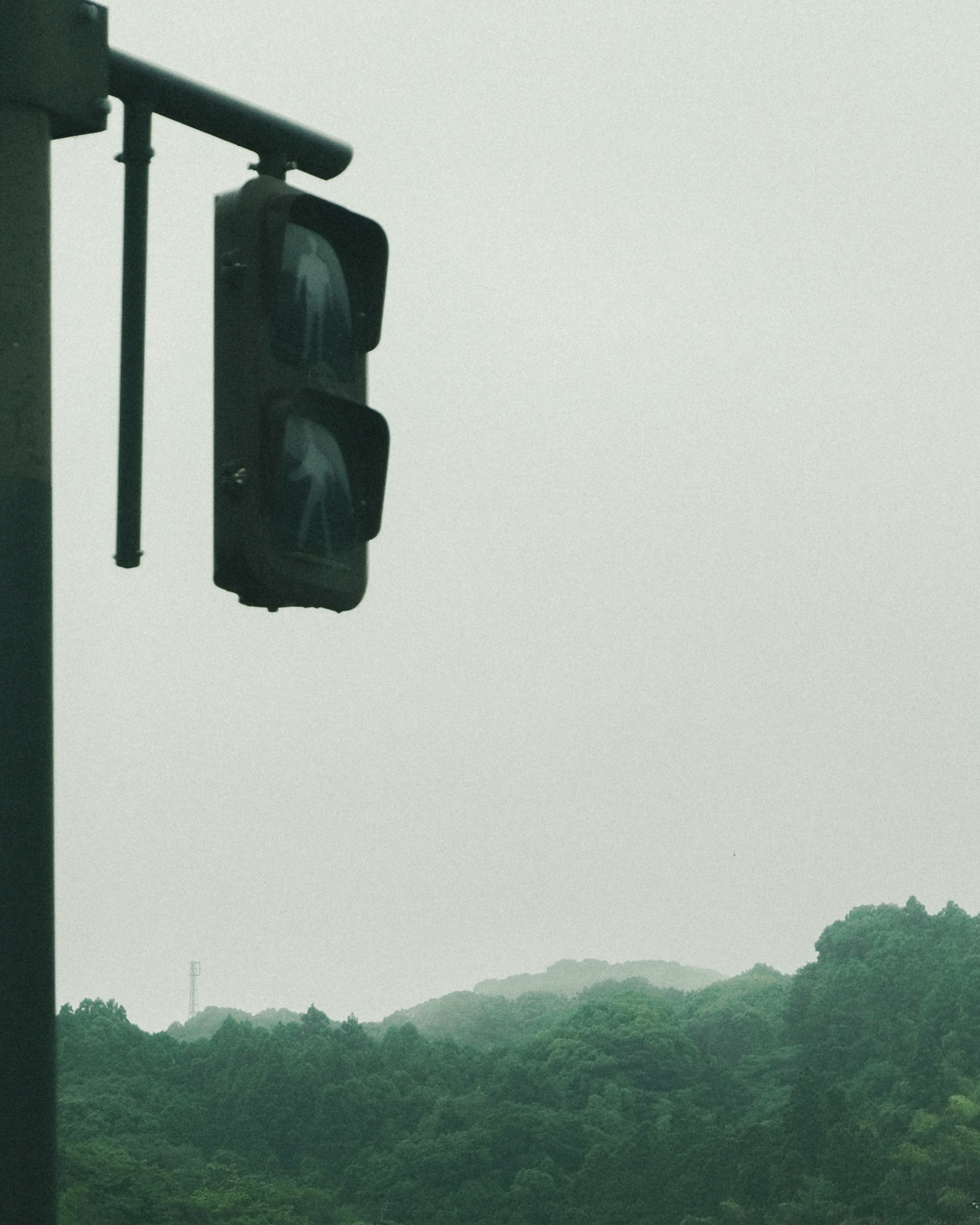 Ampel im Nebel mit grünen Hügeln im Hintergrund