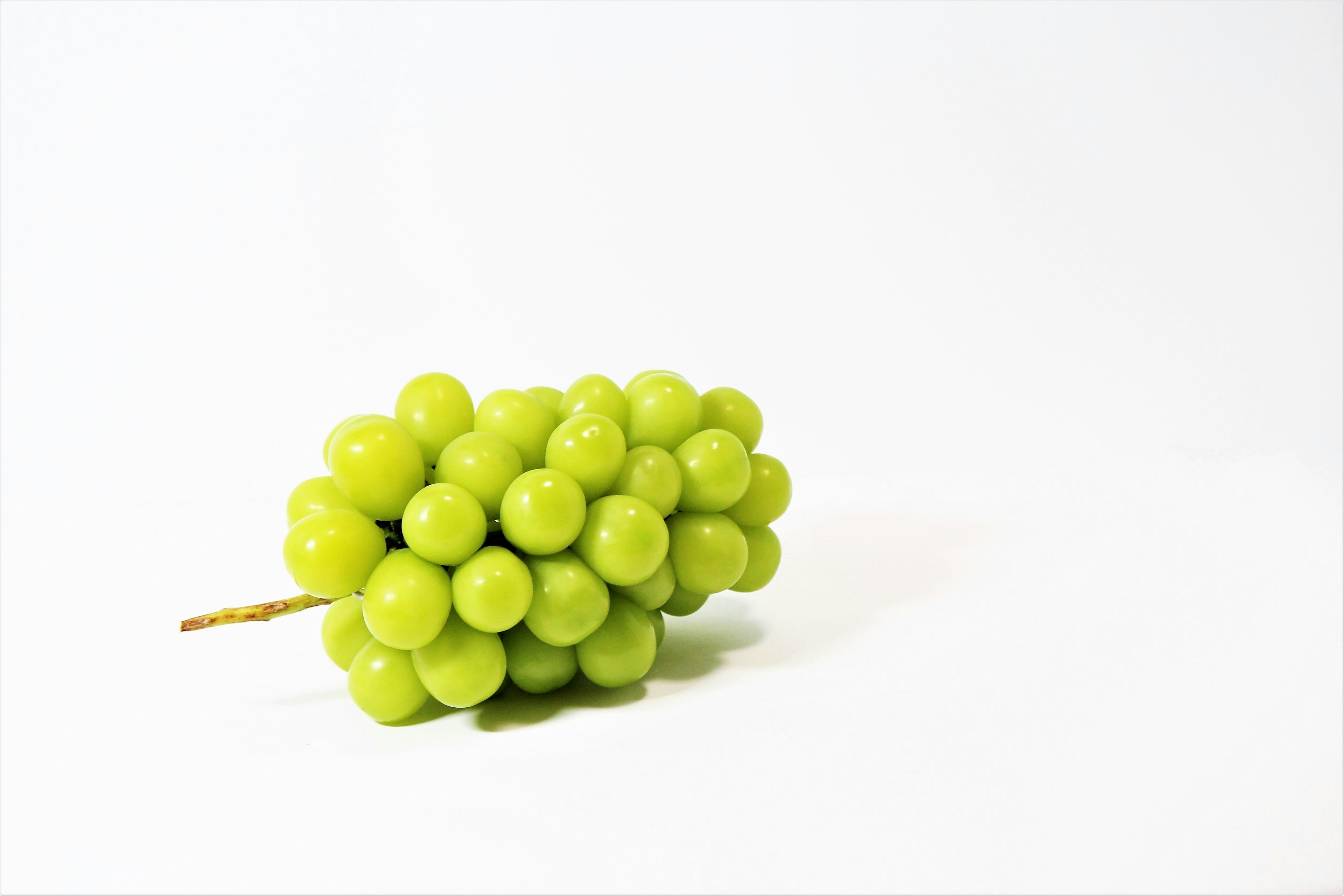 Racimo de uvas verdes frescas sobre fondo blanco