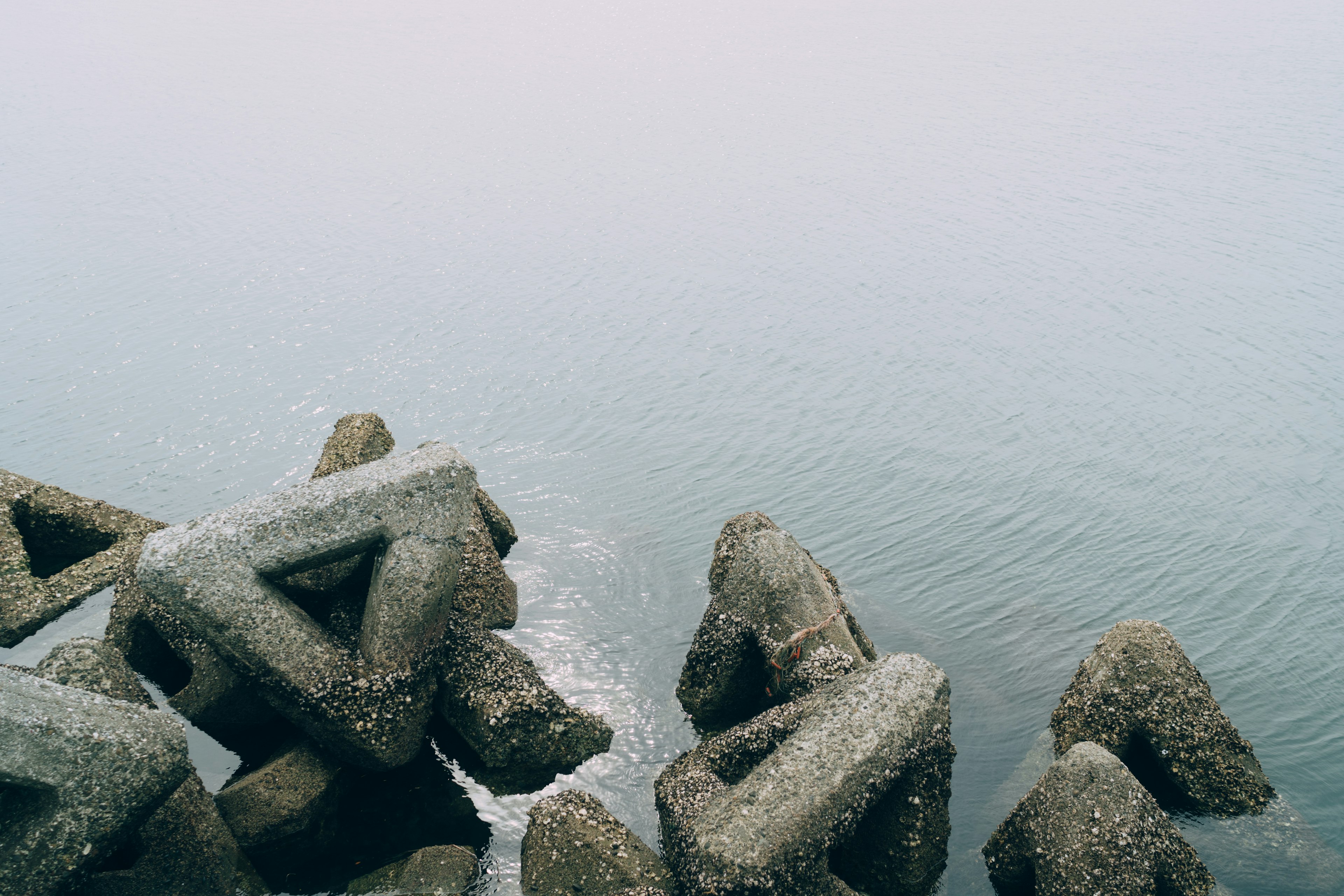 Concrete blocks along the coastline creating a serene atmosphere over the water