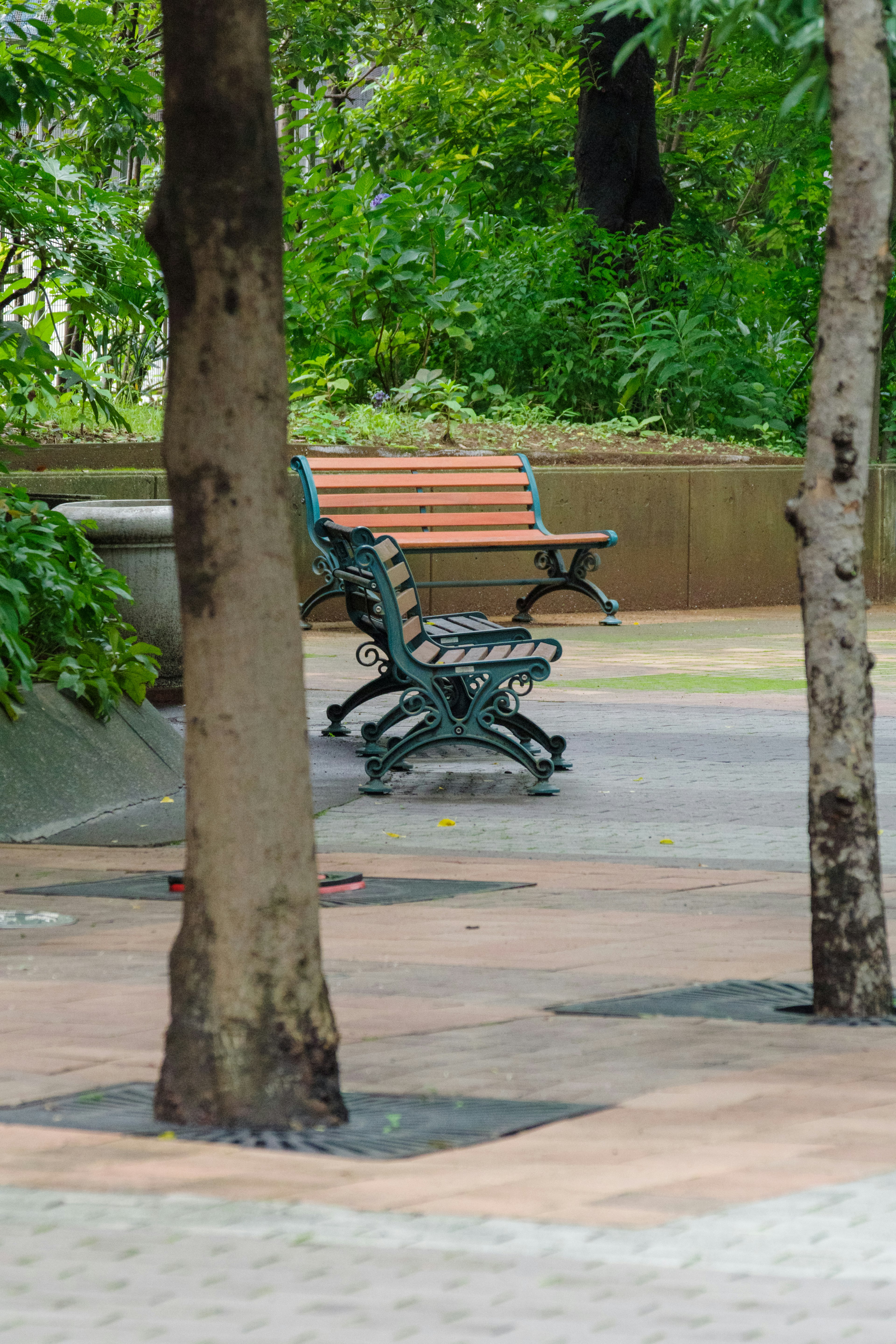 Una scena di parco con una panchina circondata da alberi