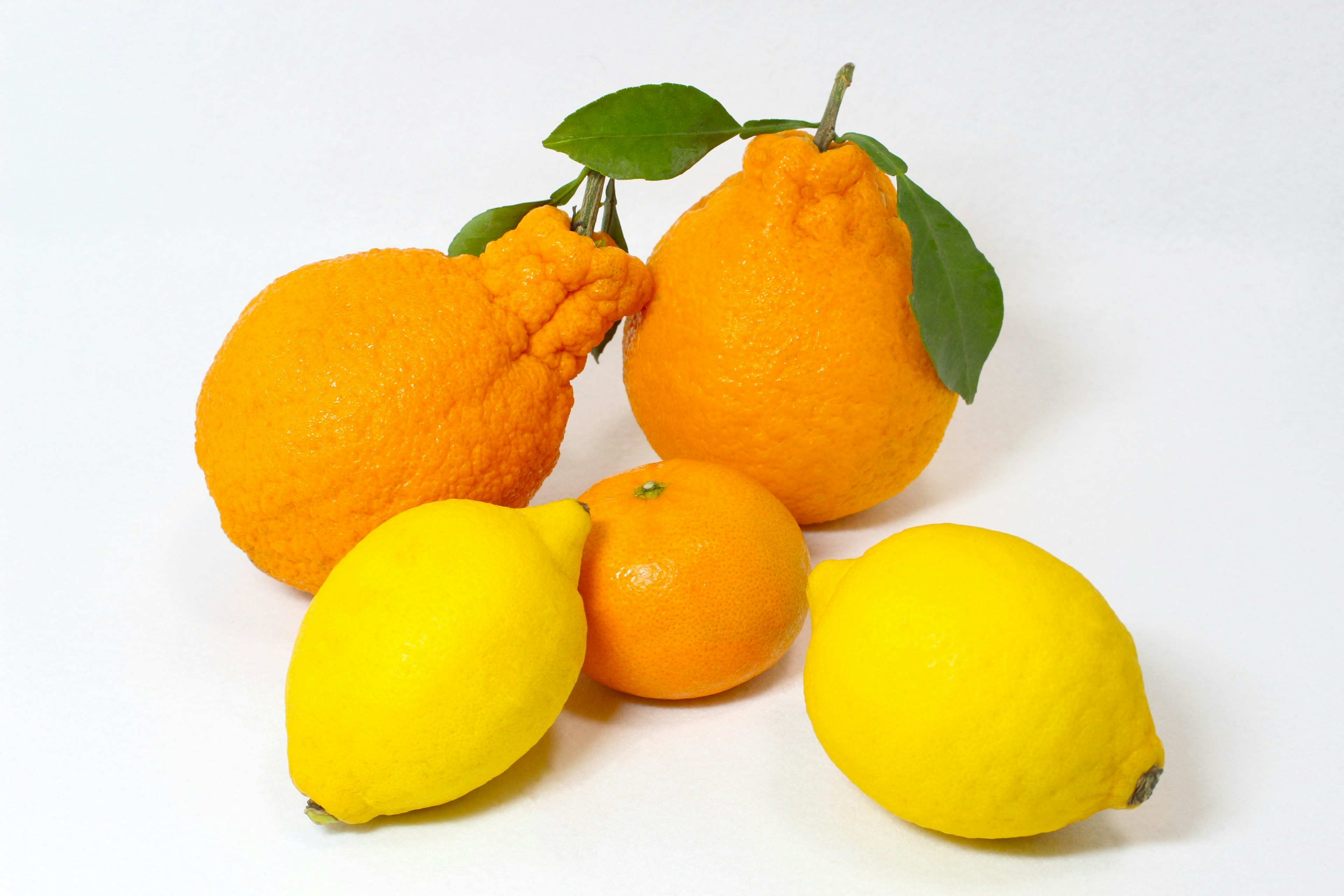 Une photo d'oranges et de citrons disposés ensemble