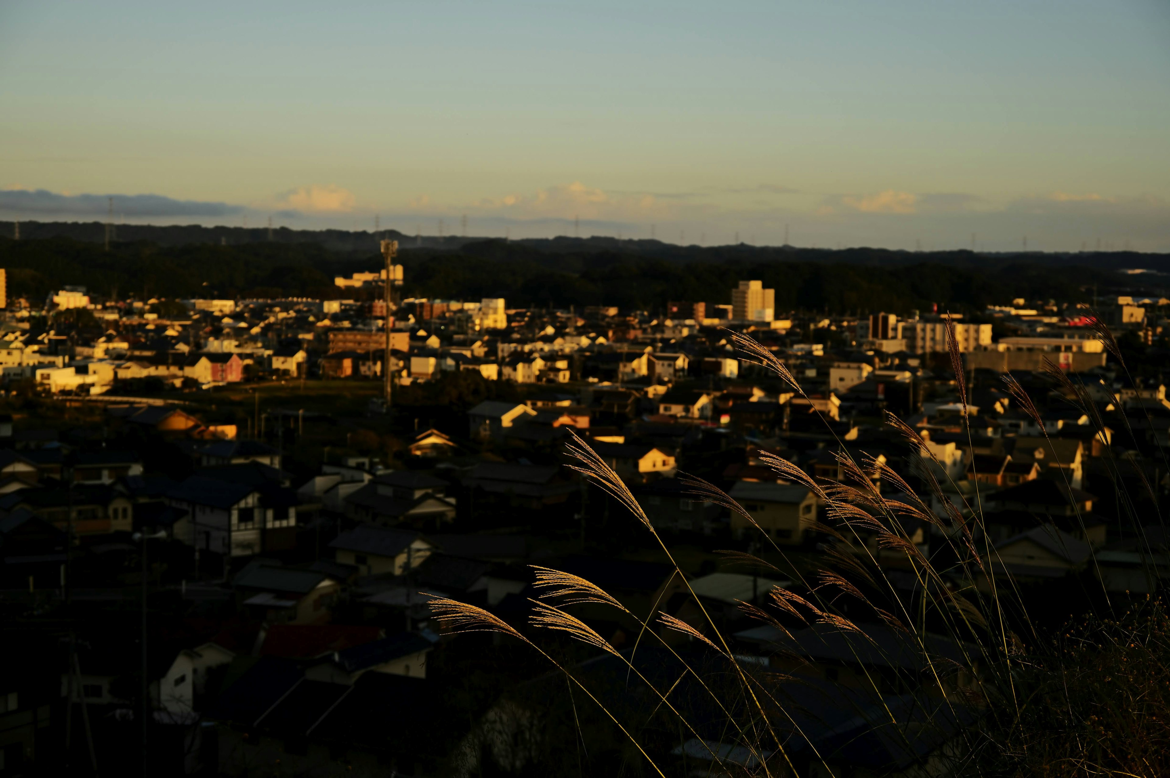 Cityscape at dusk with silhouetted grass