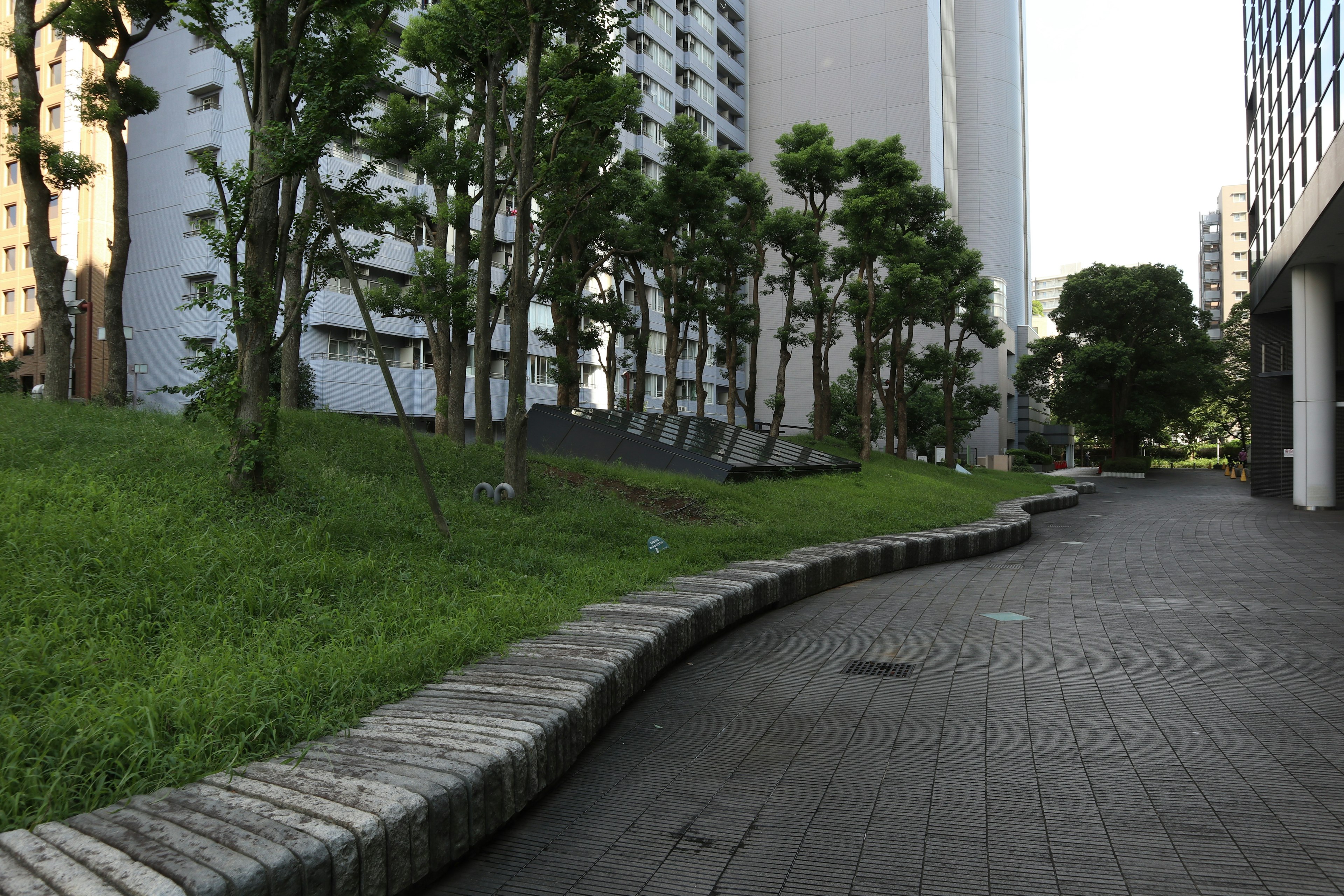 Sentier verdoyant avec des arbres à côté de grands immeubles