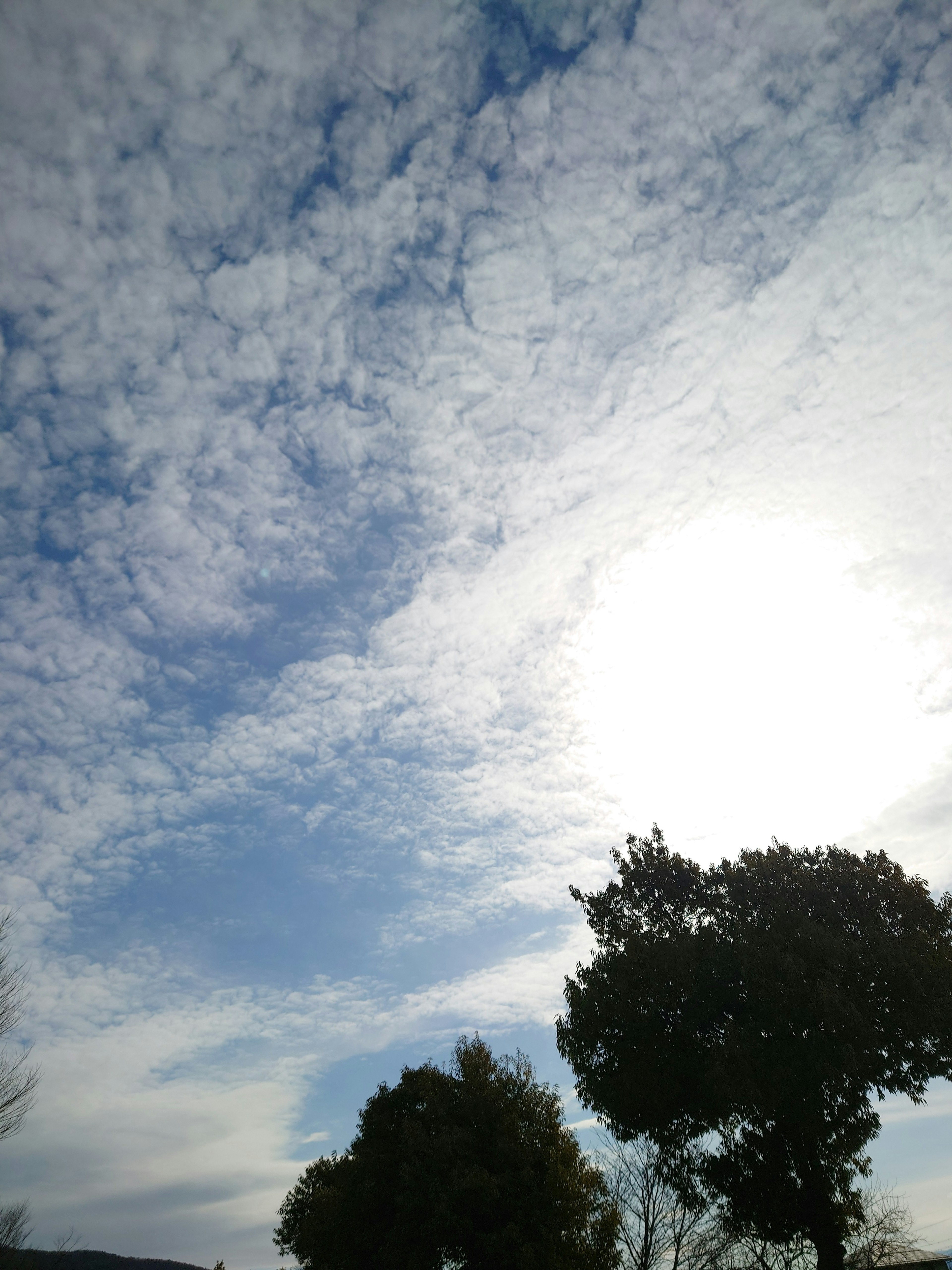 Sole luminoso che brilla attraverso nuvole sparse con alberi in silhouette