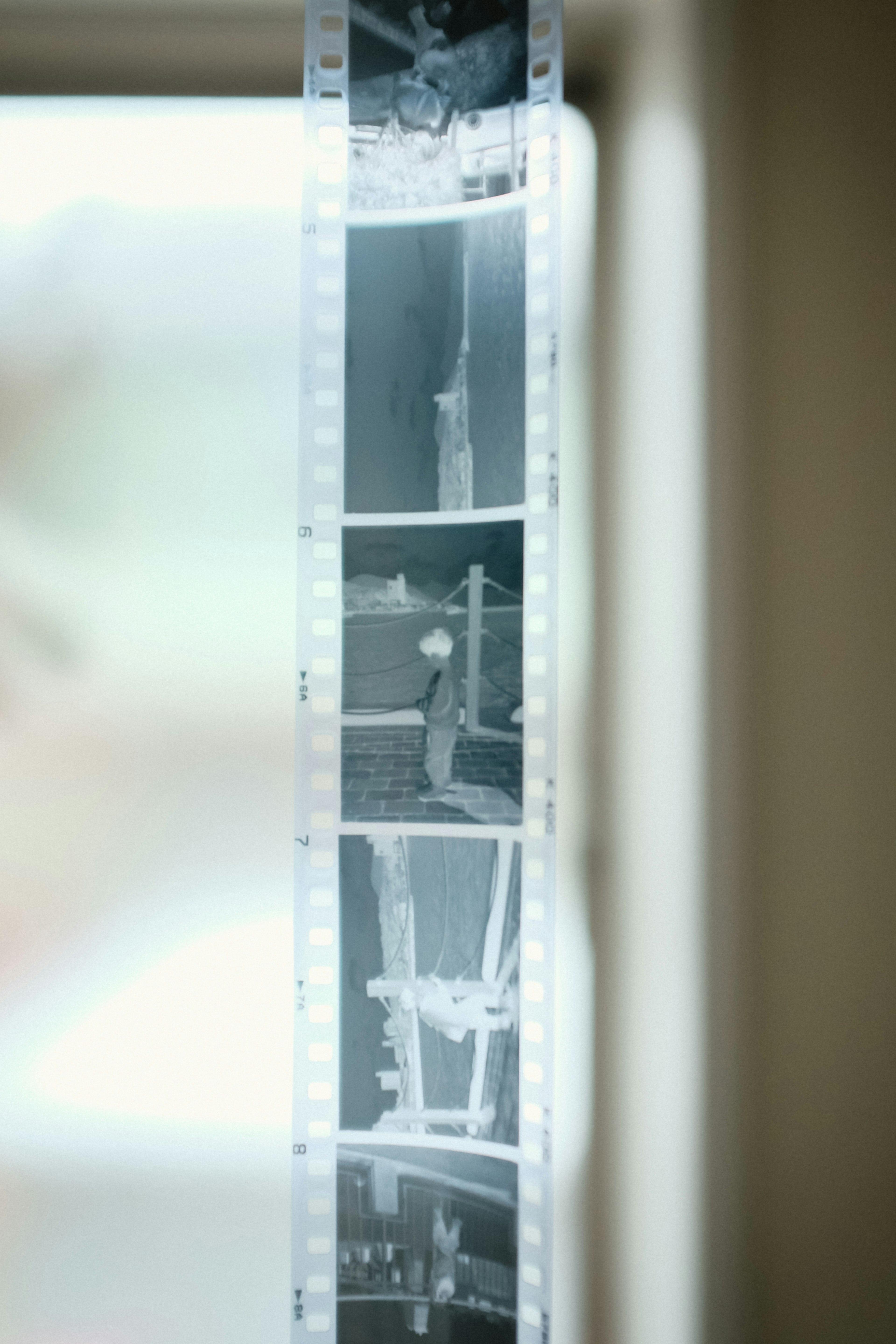 Bande de film noir et blanc montrant plusieurs photographies suspendues près d'une fenêtre