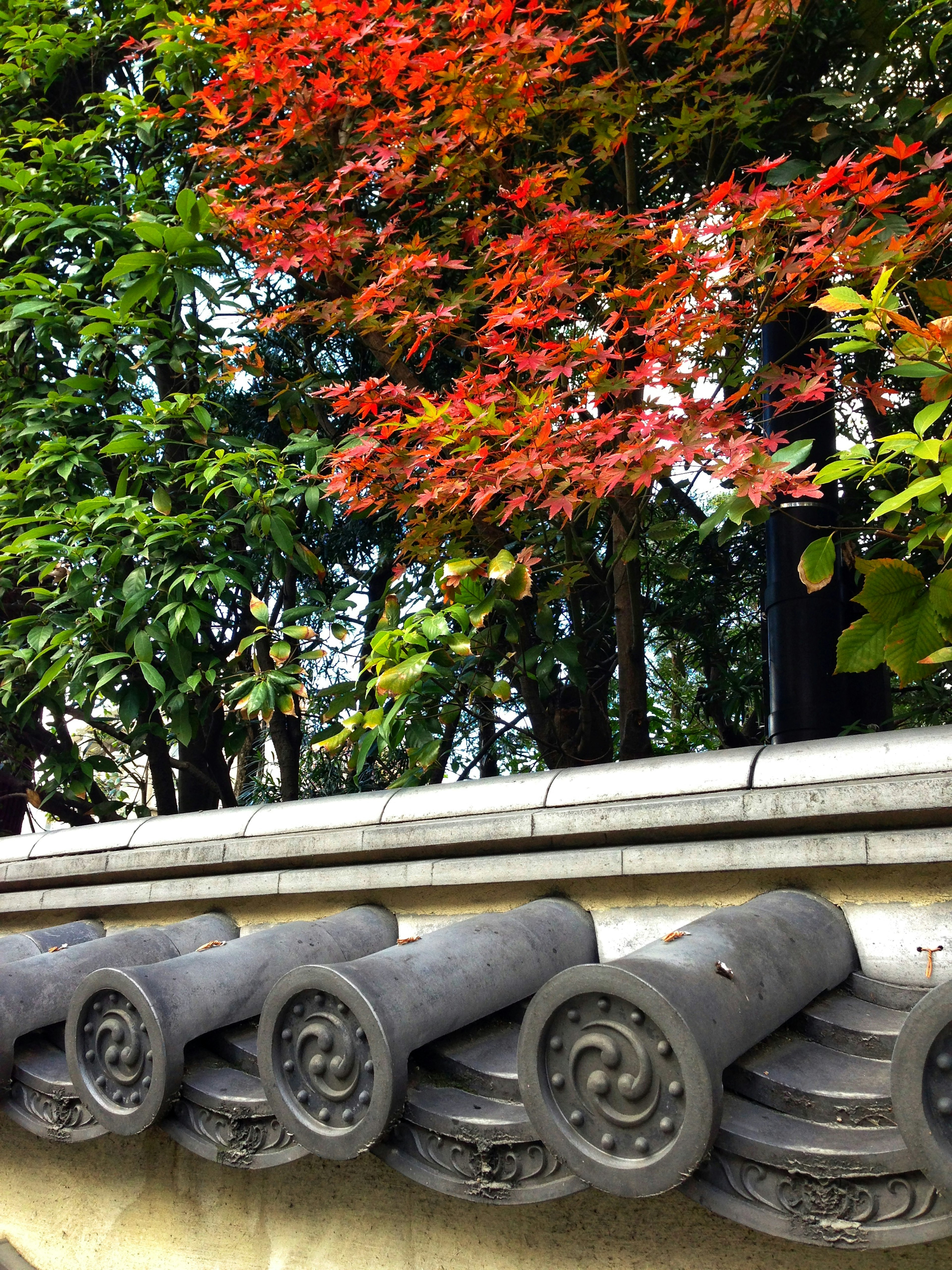 Decorazione di tetto tradizionale con foglie rosse e alberi verdi sullo sfondo