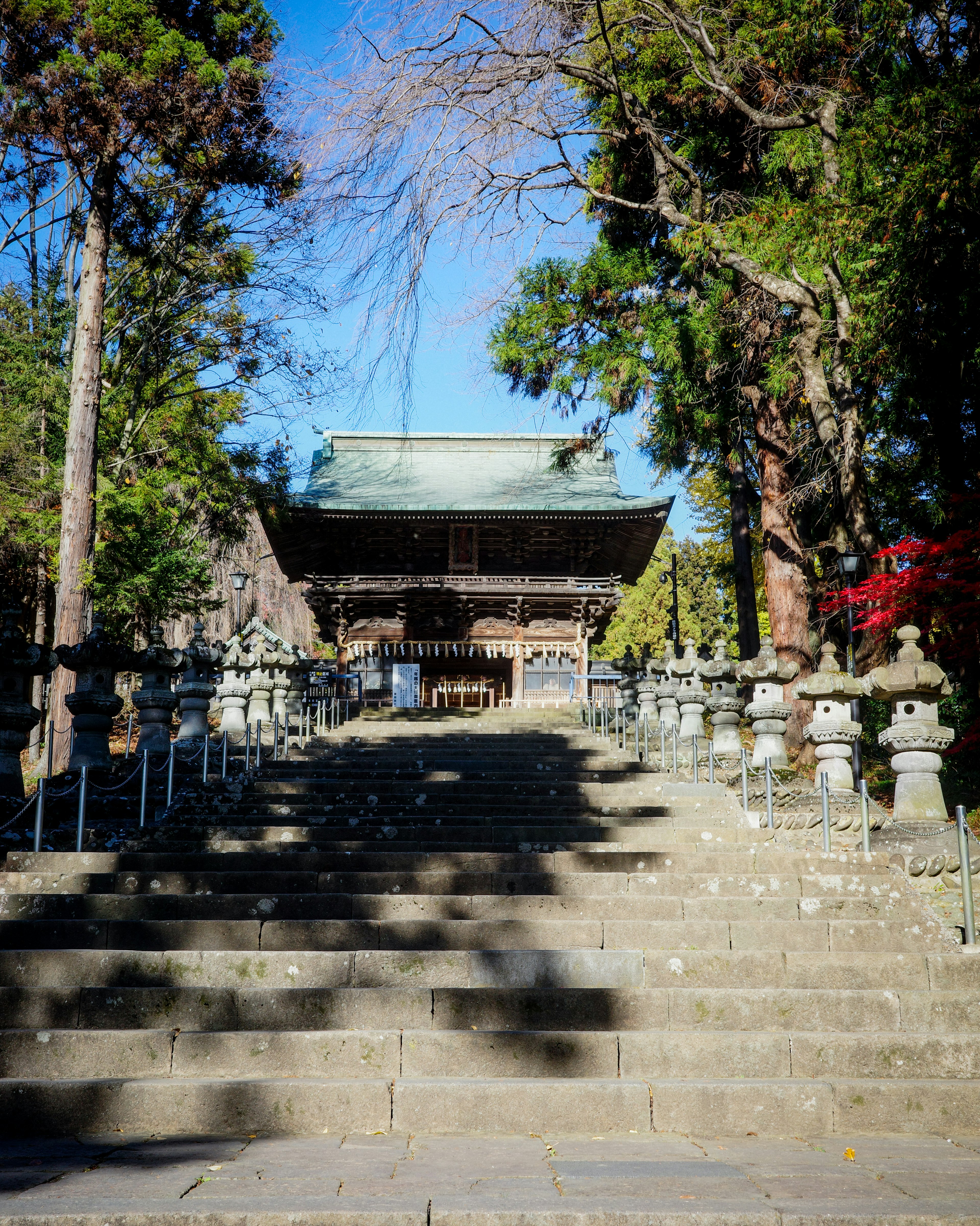 古い神社の階段の風景 緑の木々に囲まれた石の階段と灯篭がある