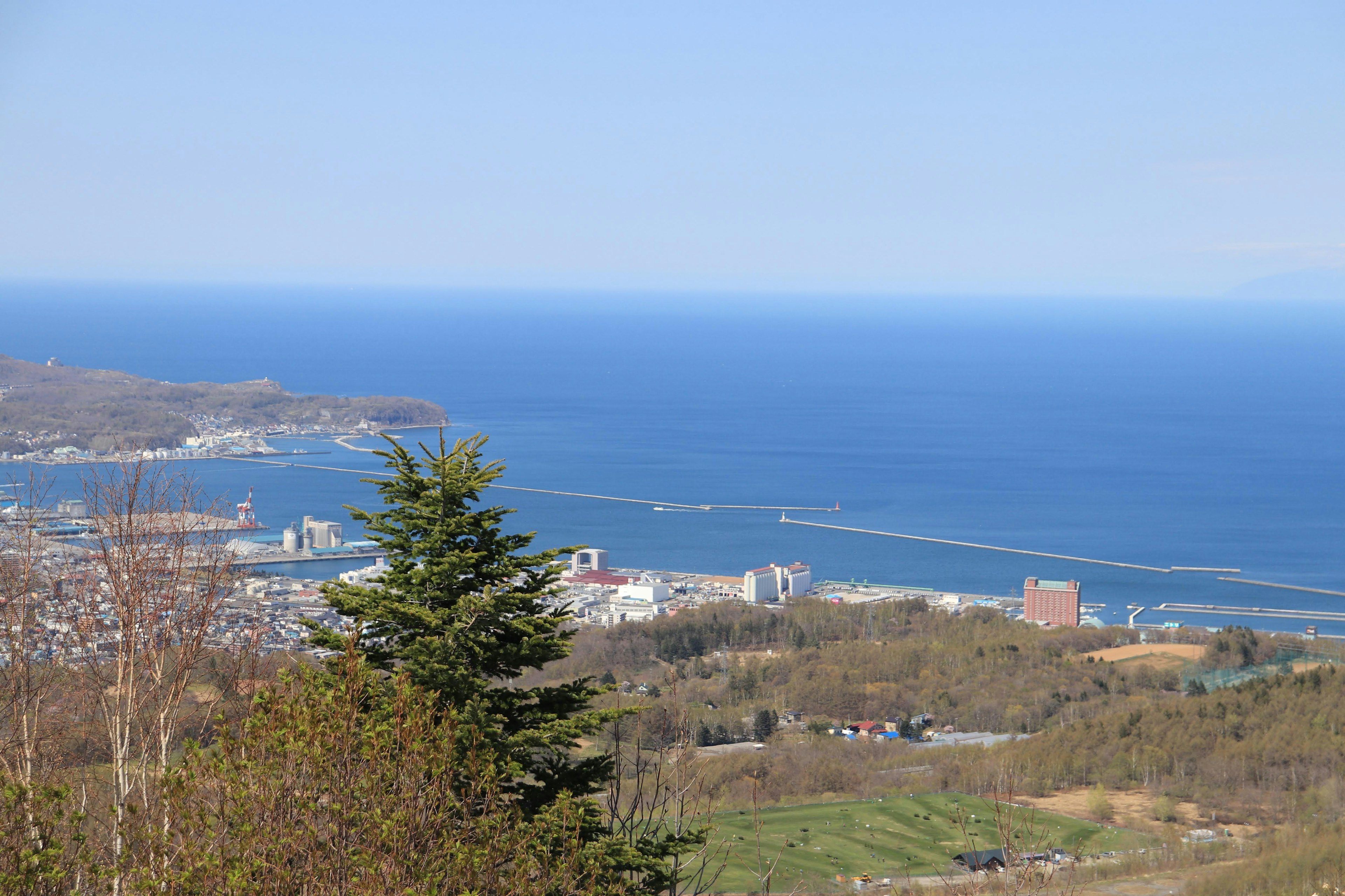 Vista panoramica su una città costiera e l'oceano da una collina verde