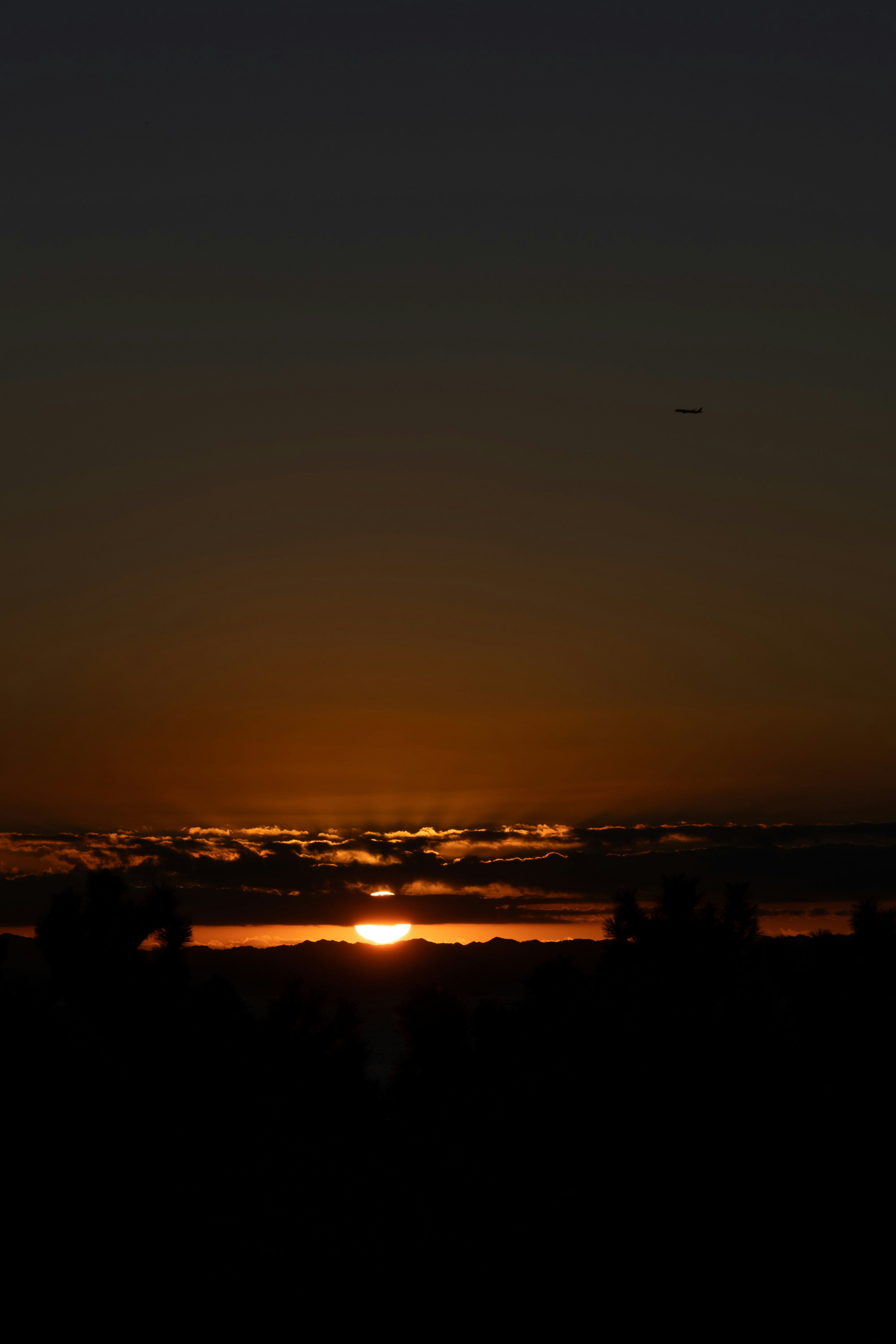 夕日が沈む風景 黒いシルエットの木々とオレンジ色の空