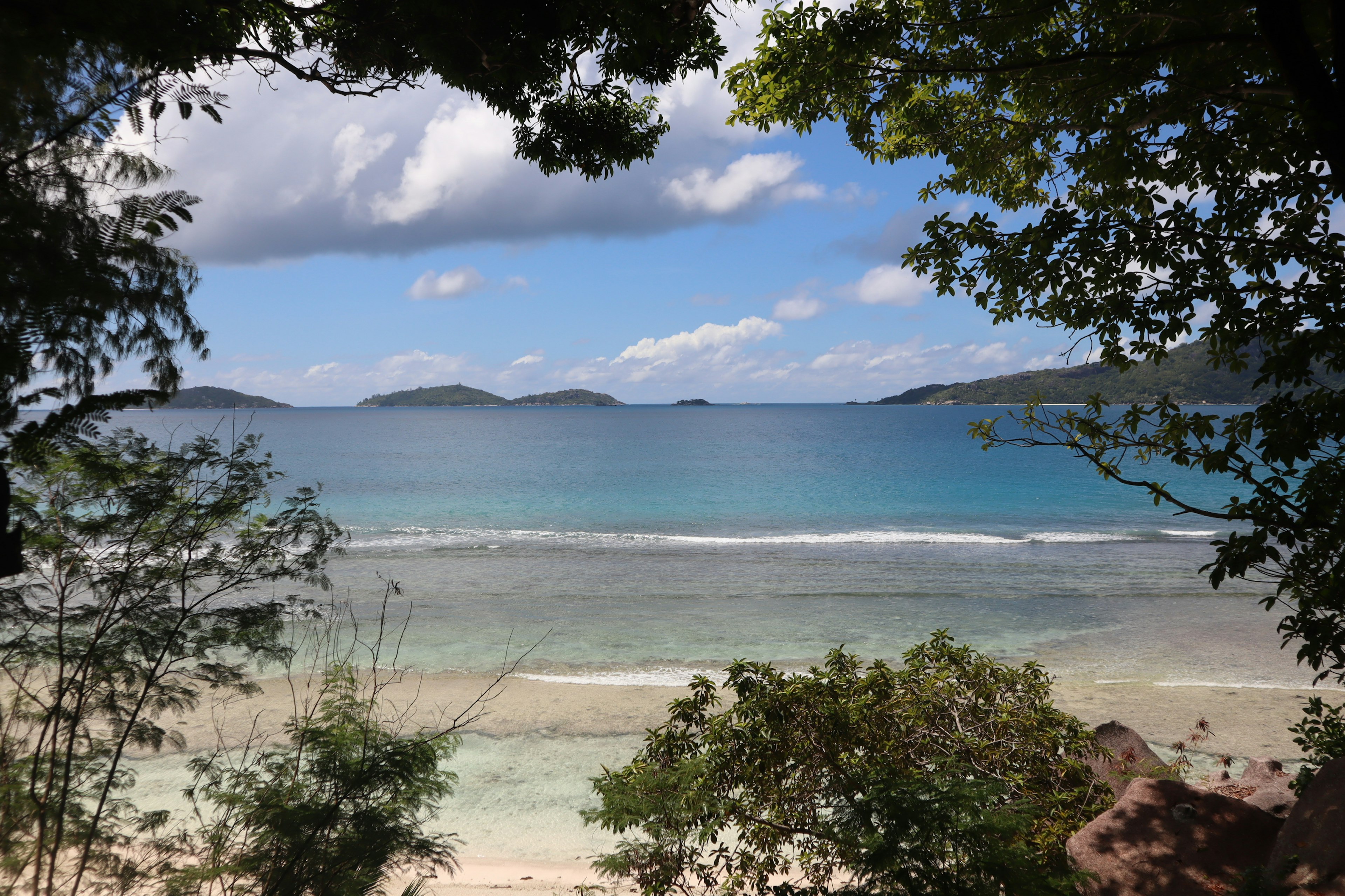 Pemandangan indah laut biru dan langit dikelilingi pepohonan