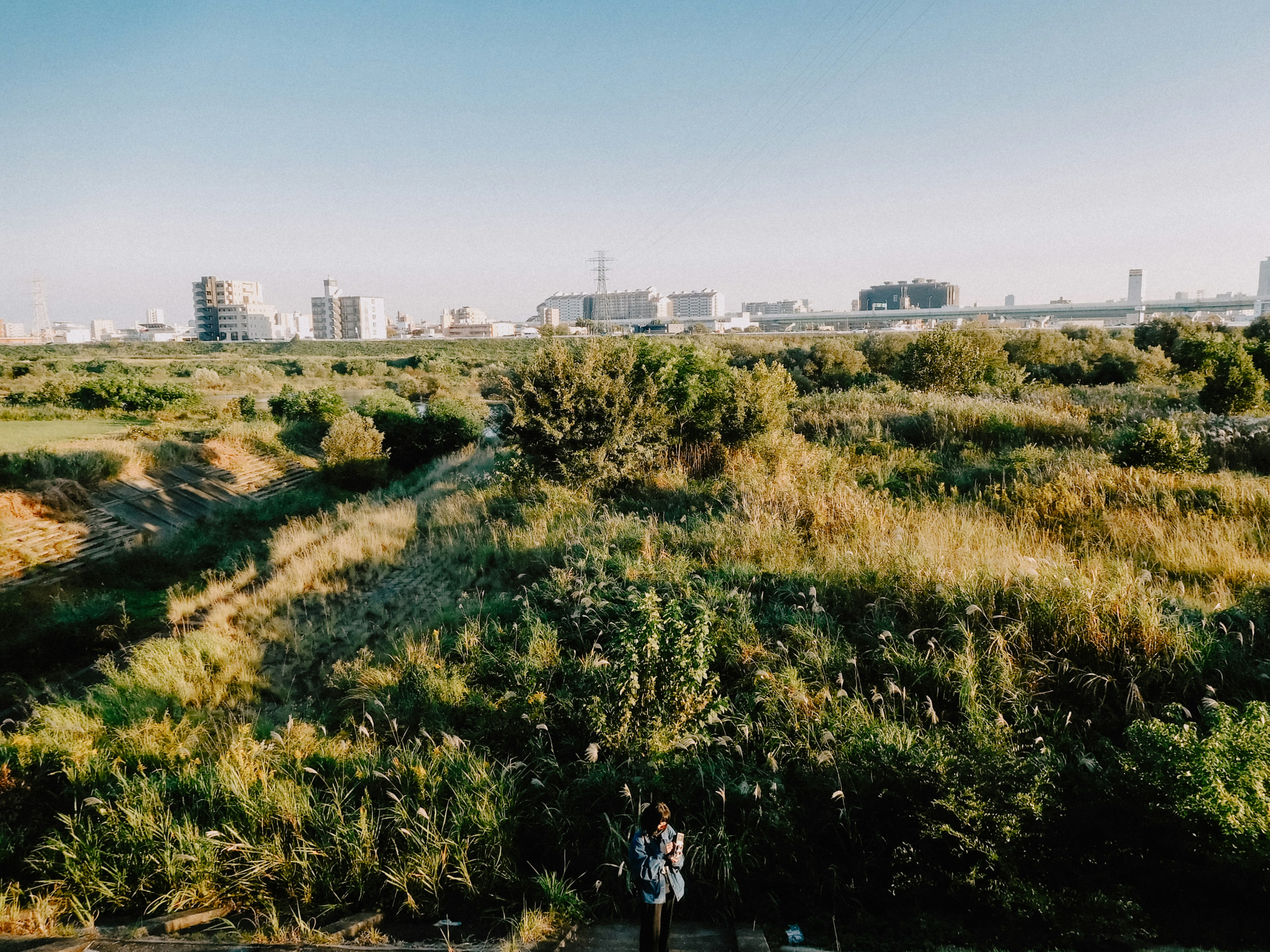 Lush green landscape under a clear sky with distant city skyline