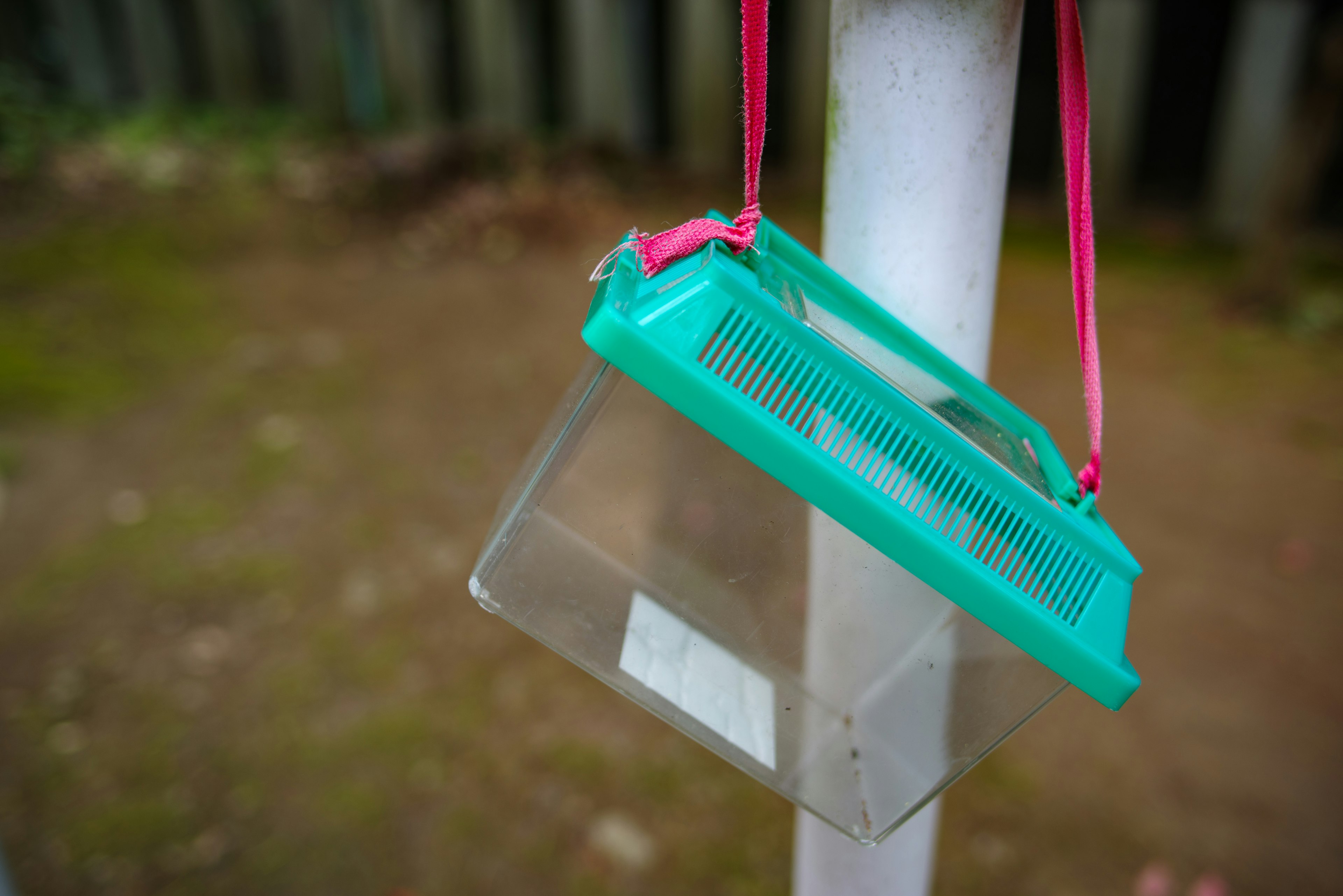 Un conteneur vert suspendu par une sangle rose sur un poteau