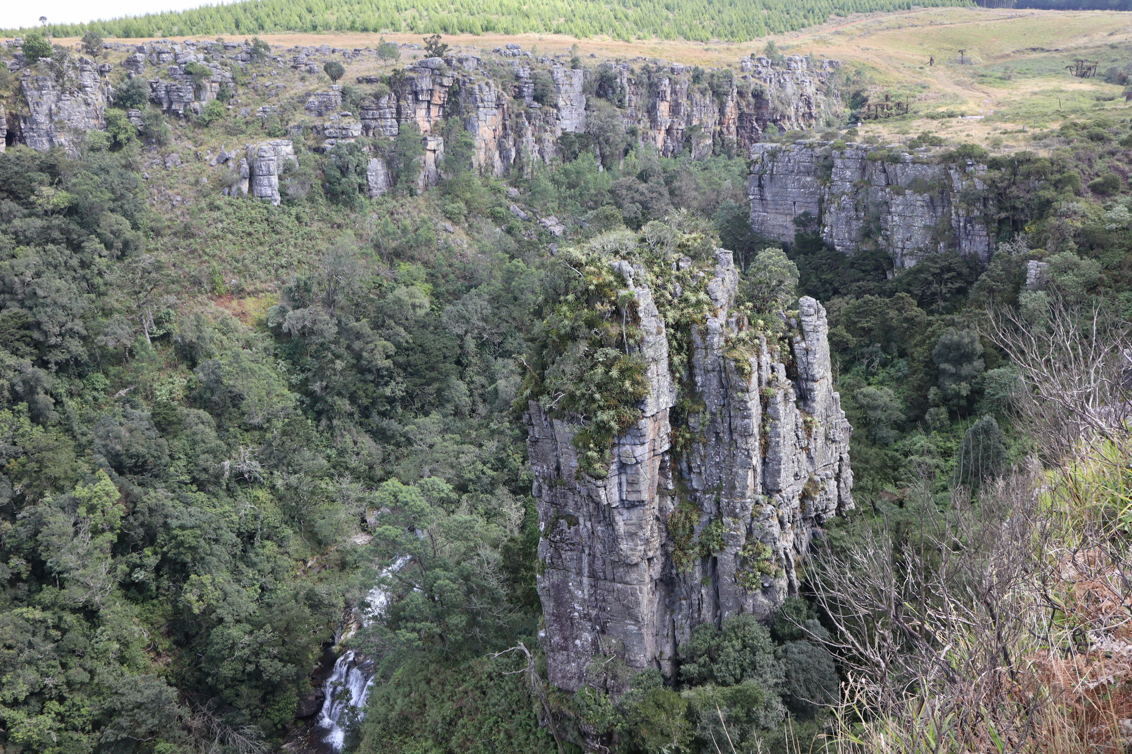 緑に覆われた高い岩の柱と周囲の崖の風景