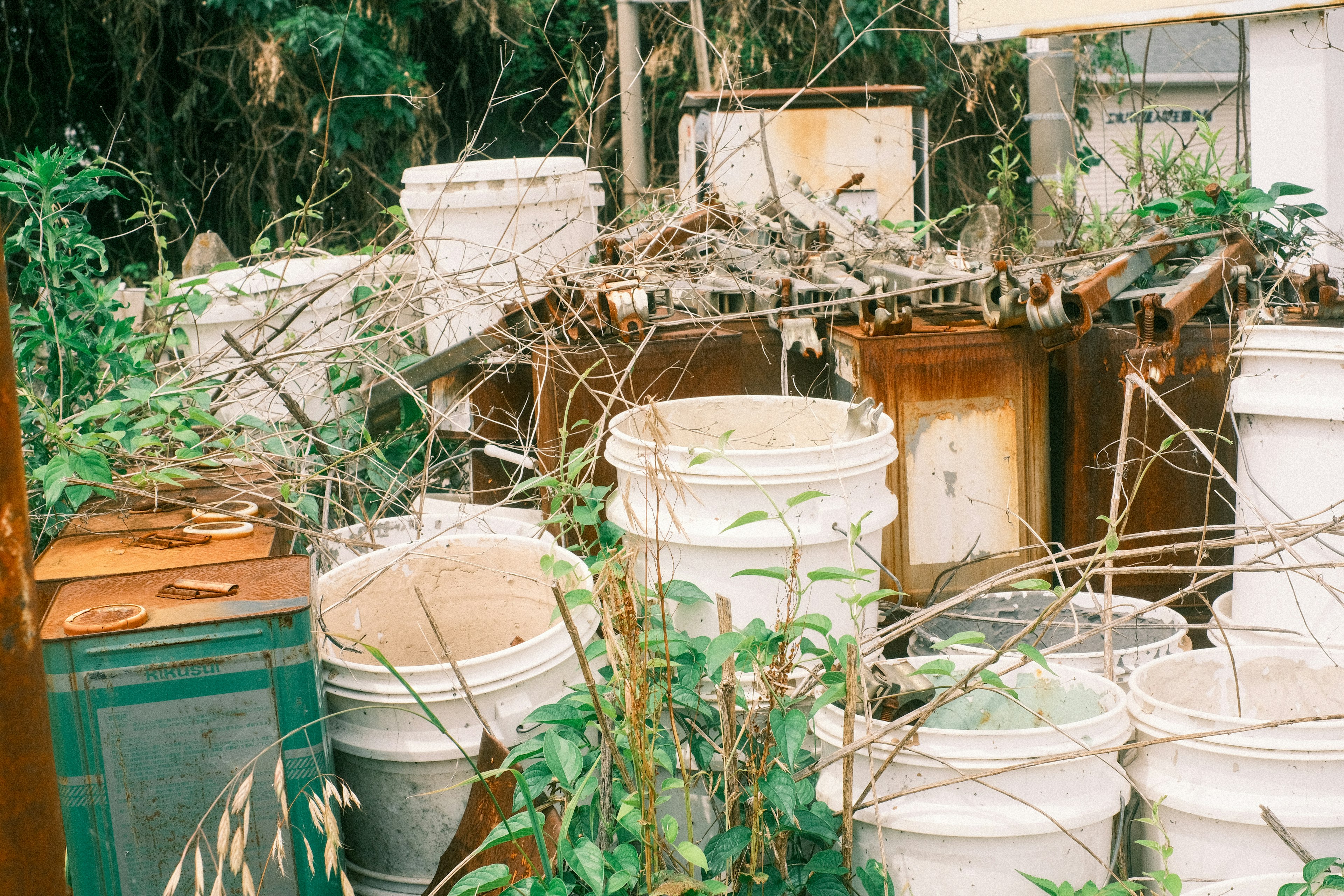 廃棄された白いバケツと緑の植物が混在する荒れた風景