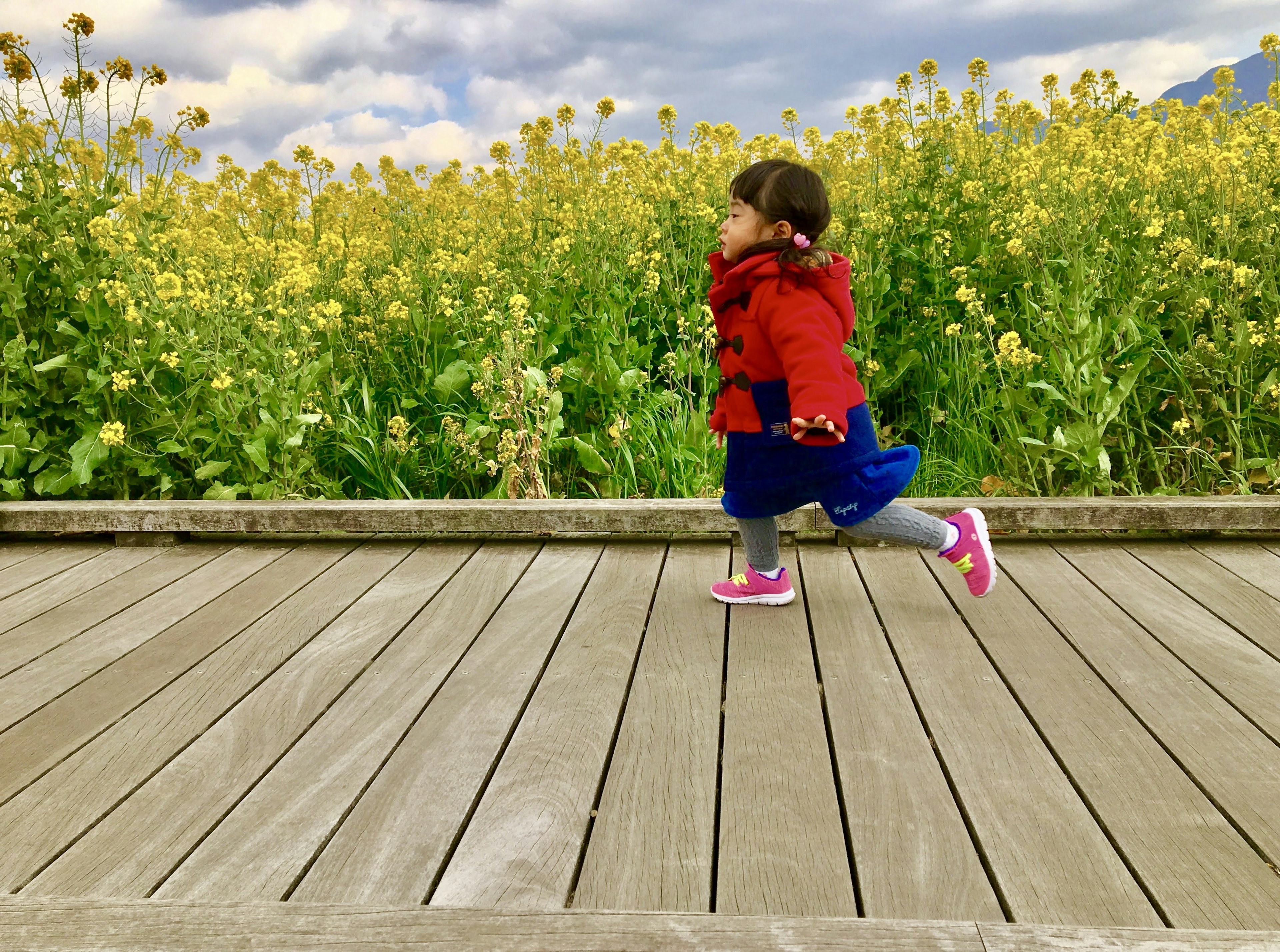 Un niño con un abrigo rojo corriendo por un camino de madera rodeado de flores amarillas