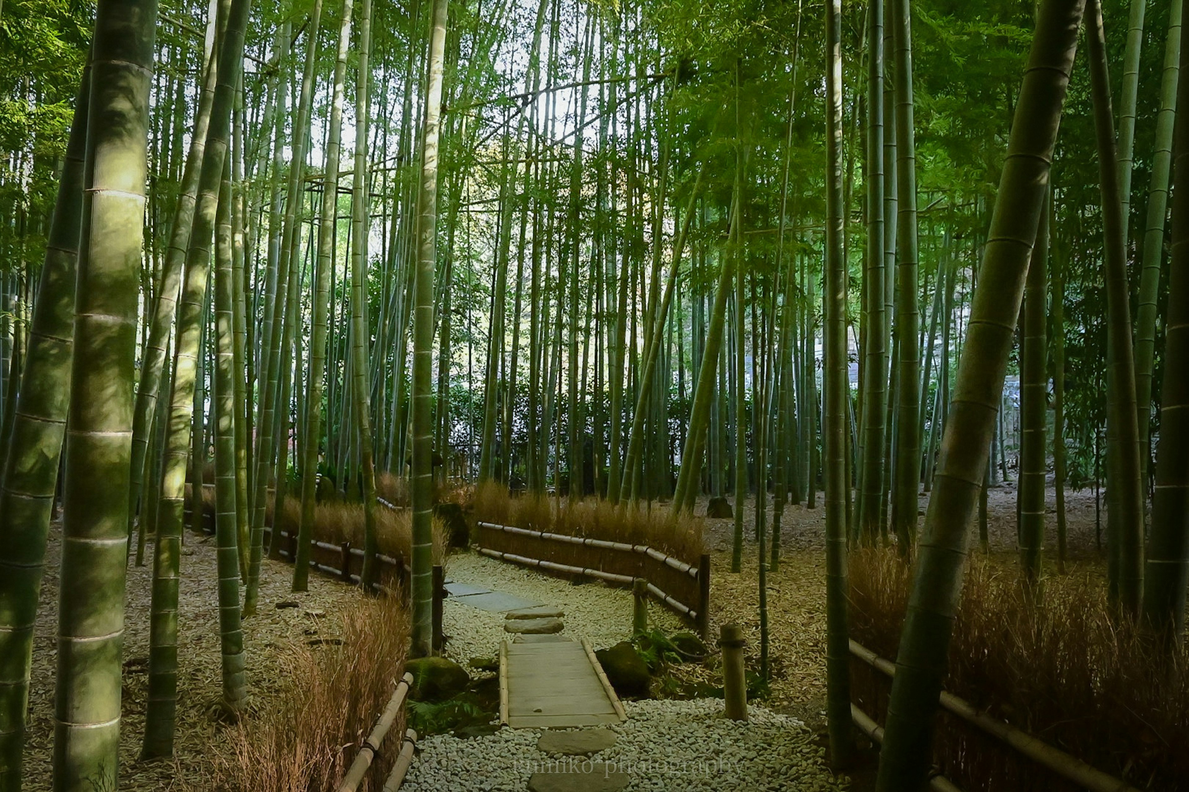 竹林の中にある石の小道と木製の手すりが特徴的な風景