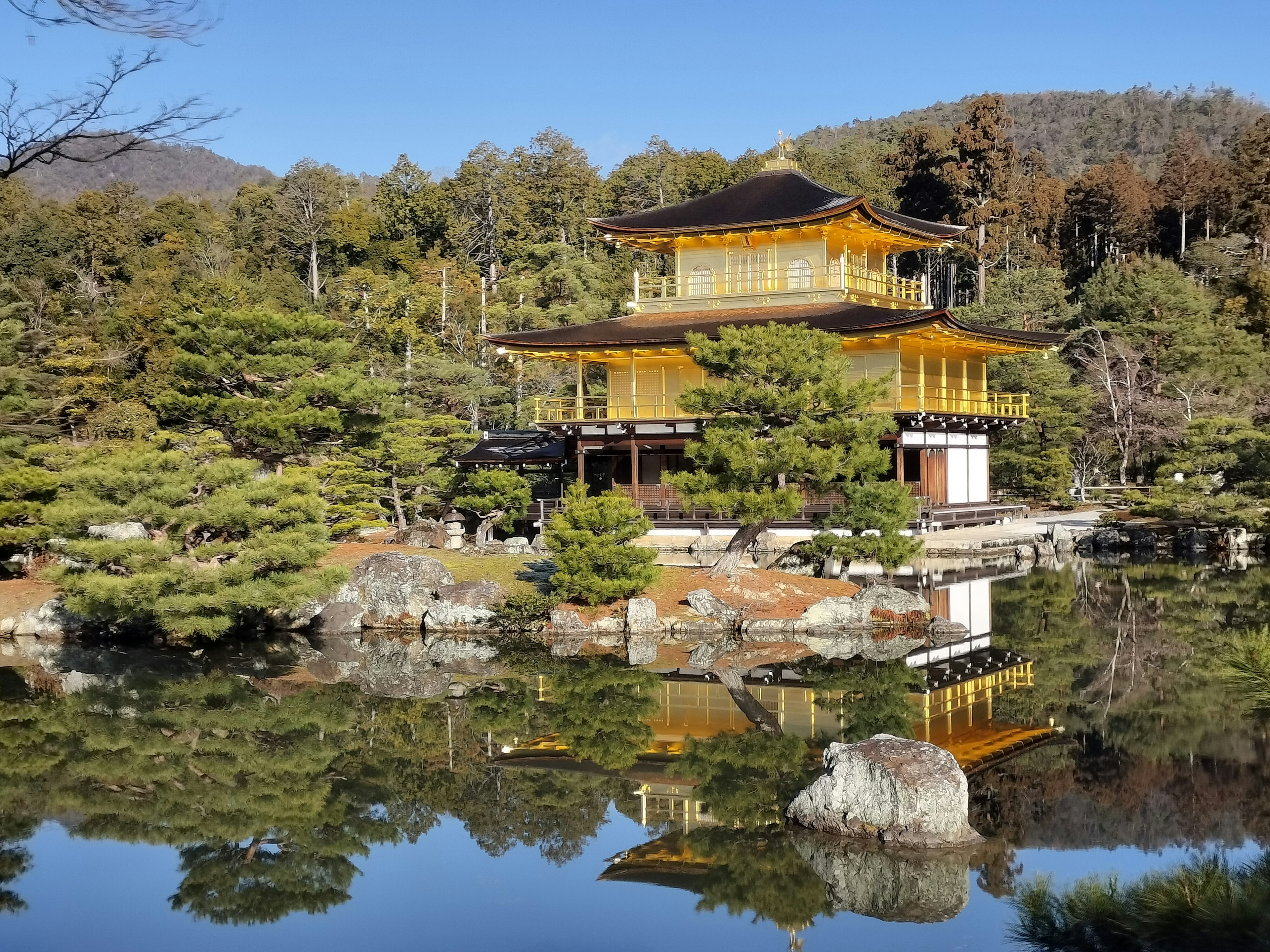 Cấu trúc vàng đẹp phản chiếu trong ao tại Kinkaku-ji ở Kyoto