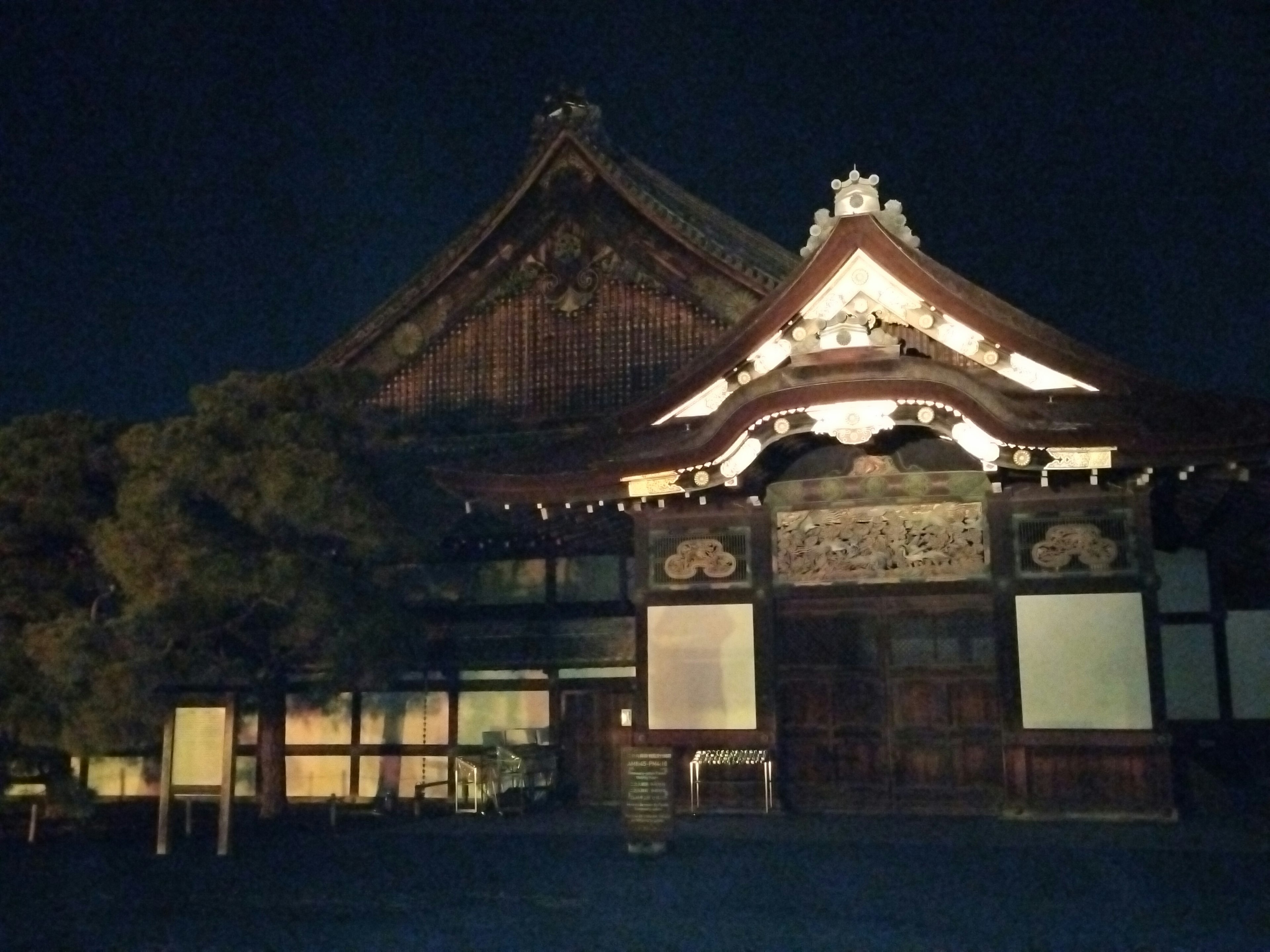 Traditional Japanese building exterior at night with prominent roof details