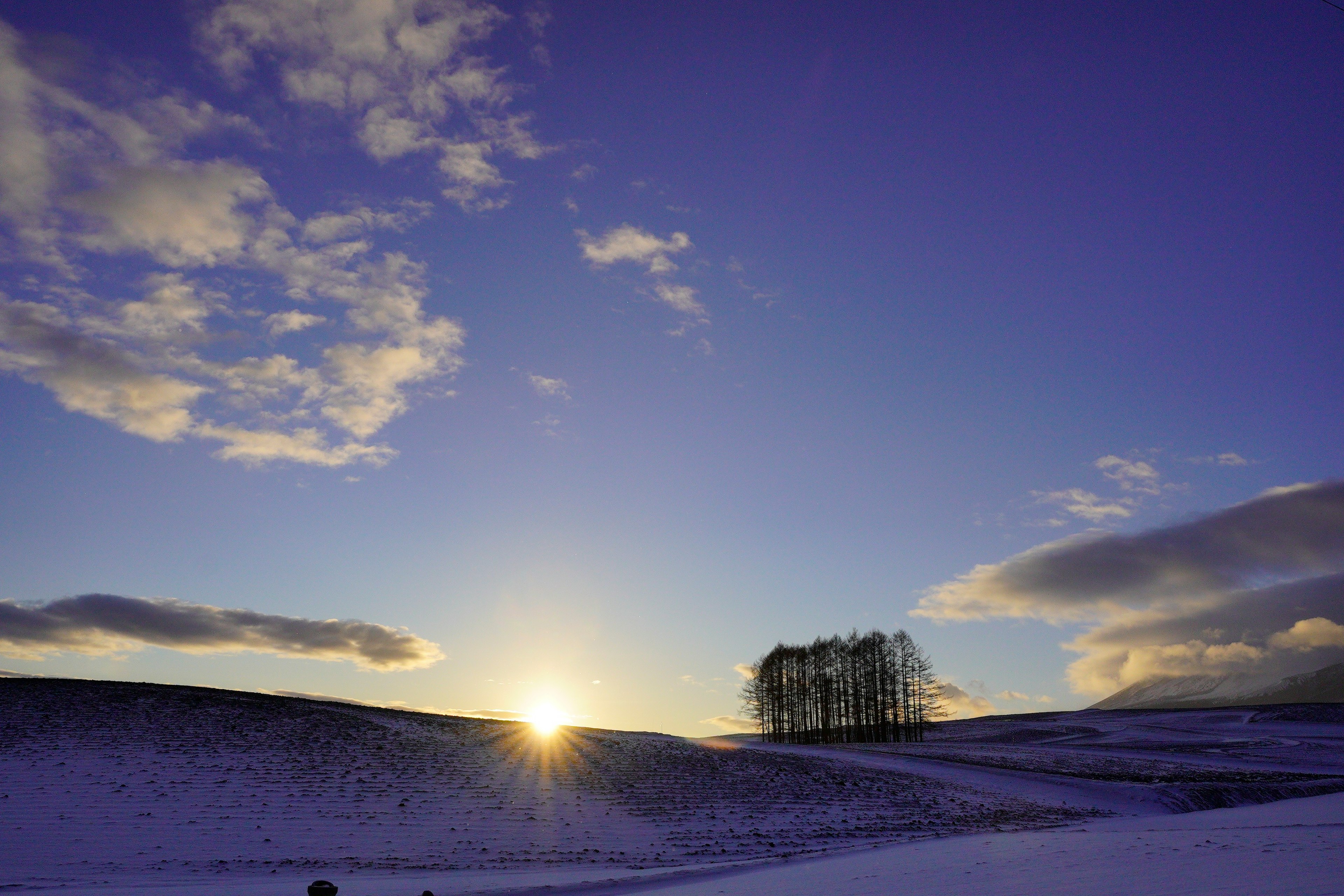 Sunset over a snowy landscape with silhouetted trees