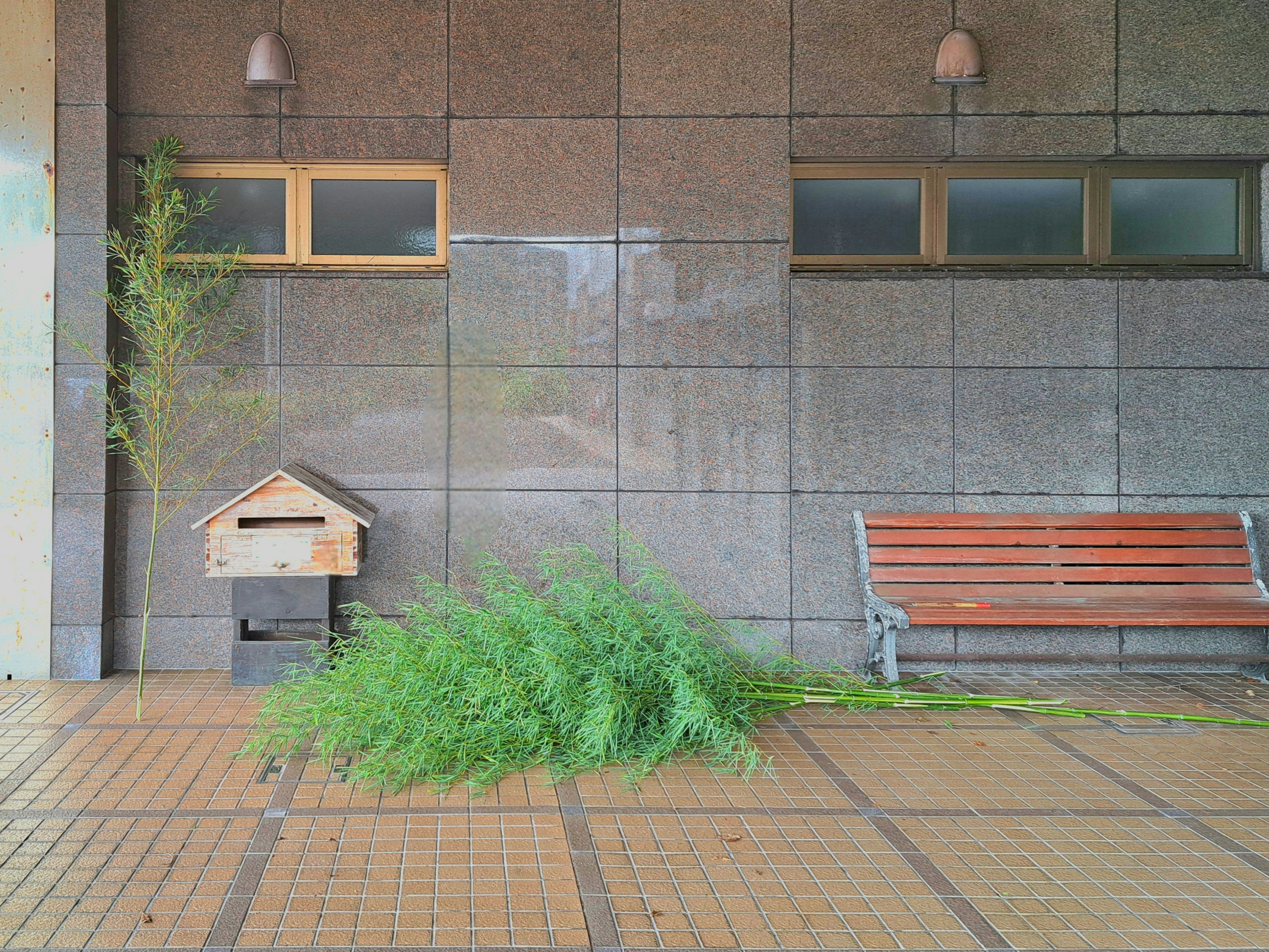 コンクリート壁の前にある木製のベンチと郵便受け緑の植物が横に広がるシンプルな外観