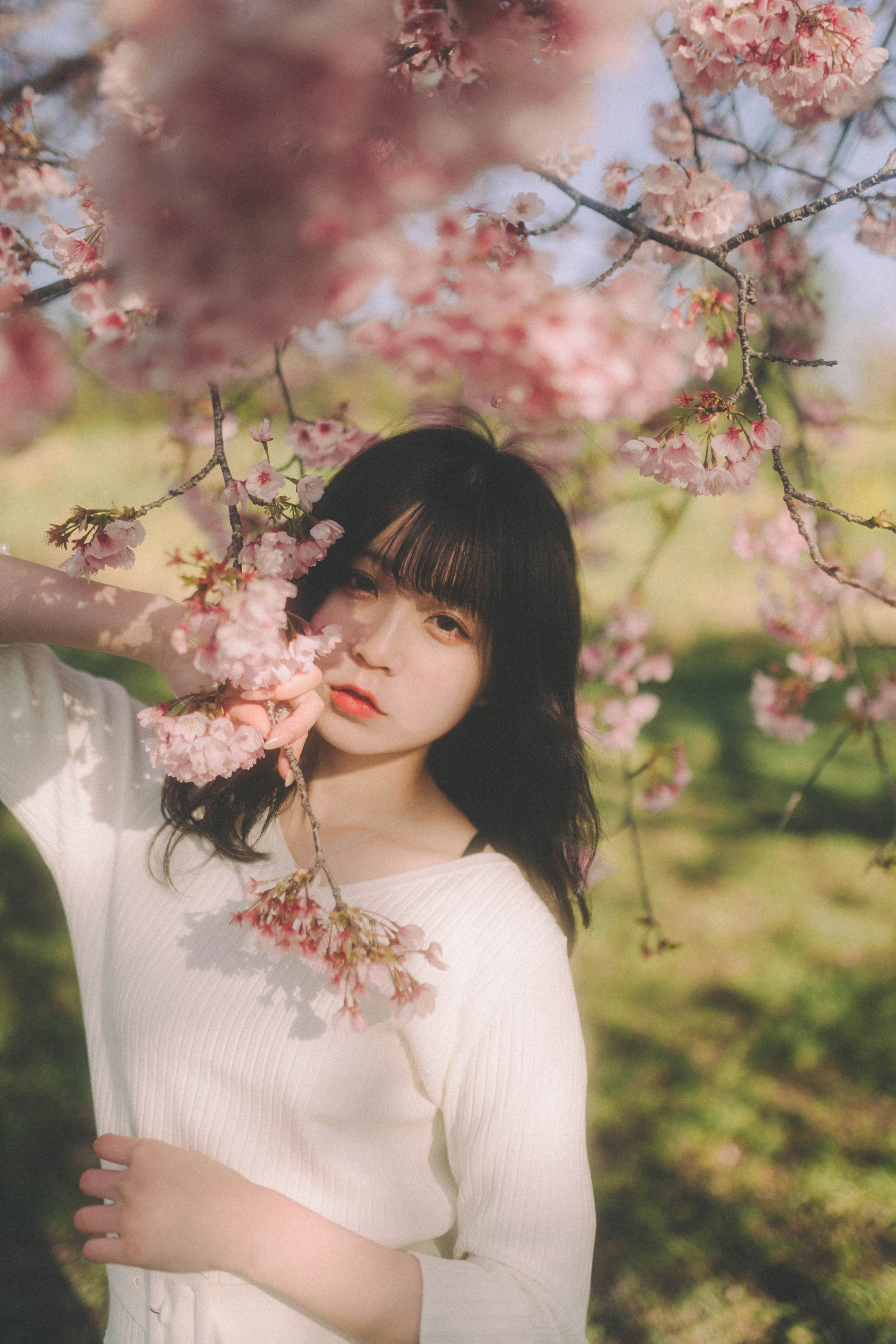 桜の花の間に立つ女性のポートレート 明るい色合いと柔らかな光が特徴