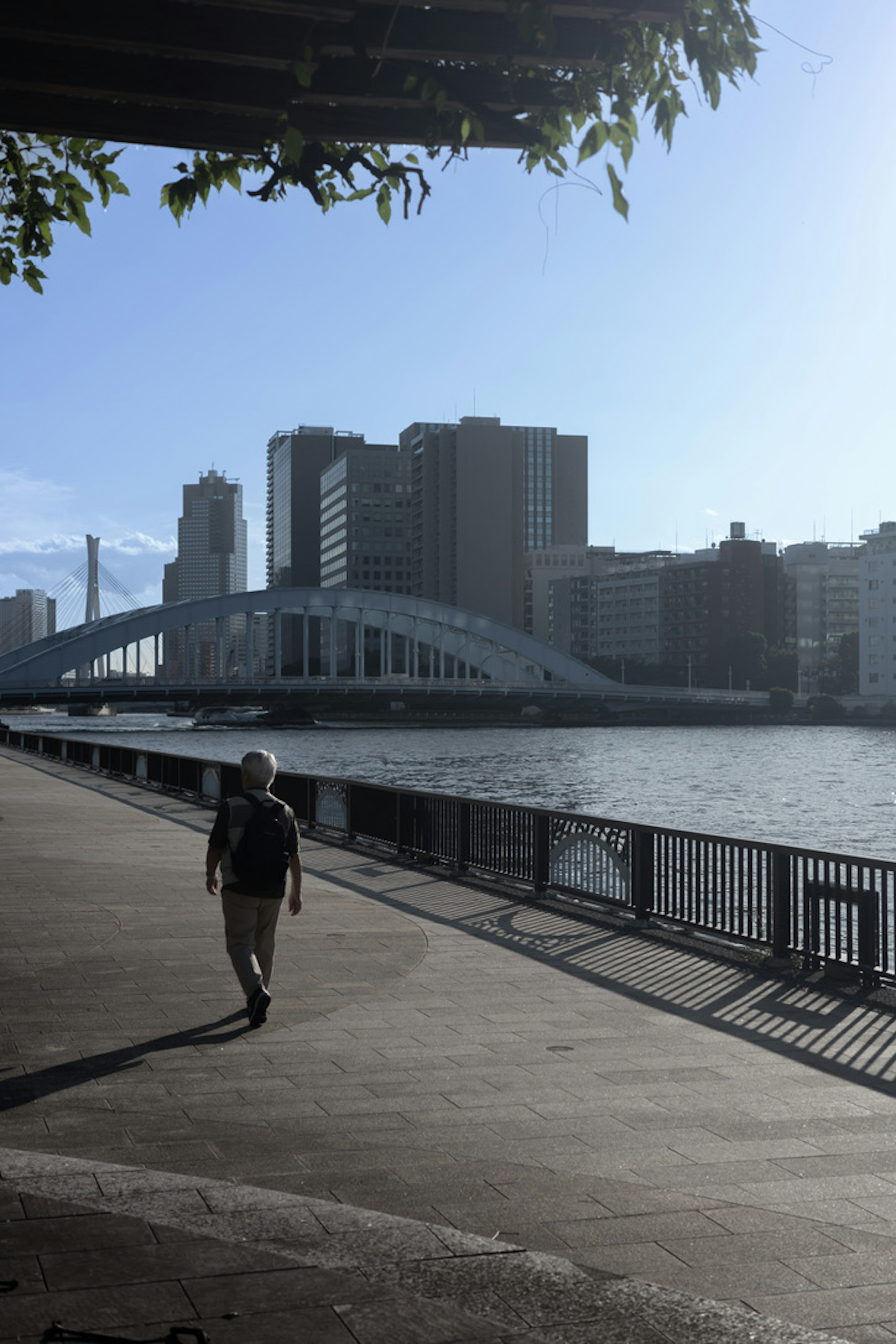 川沿いの歩道を歩く人と高層ビルの風景