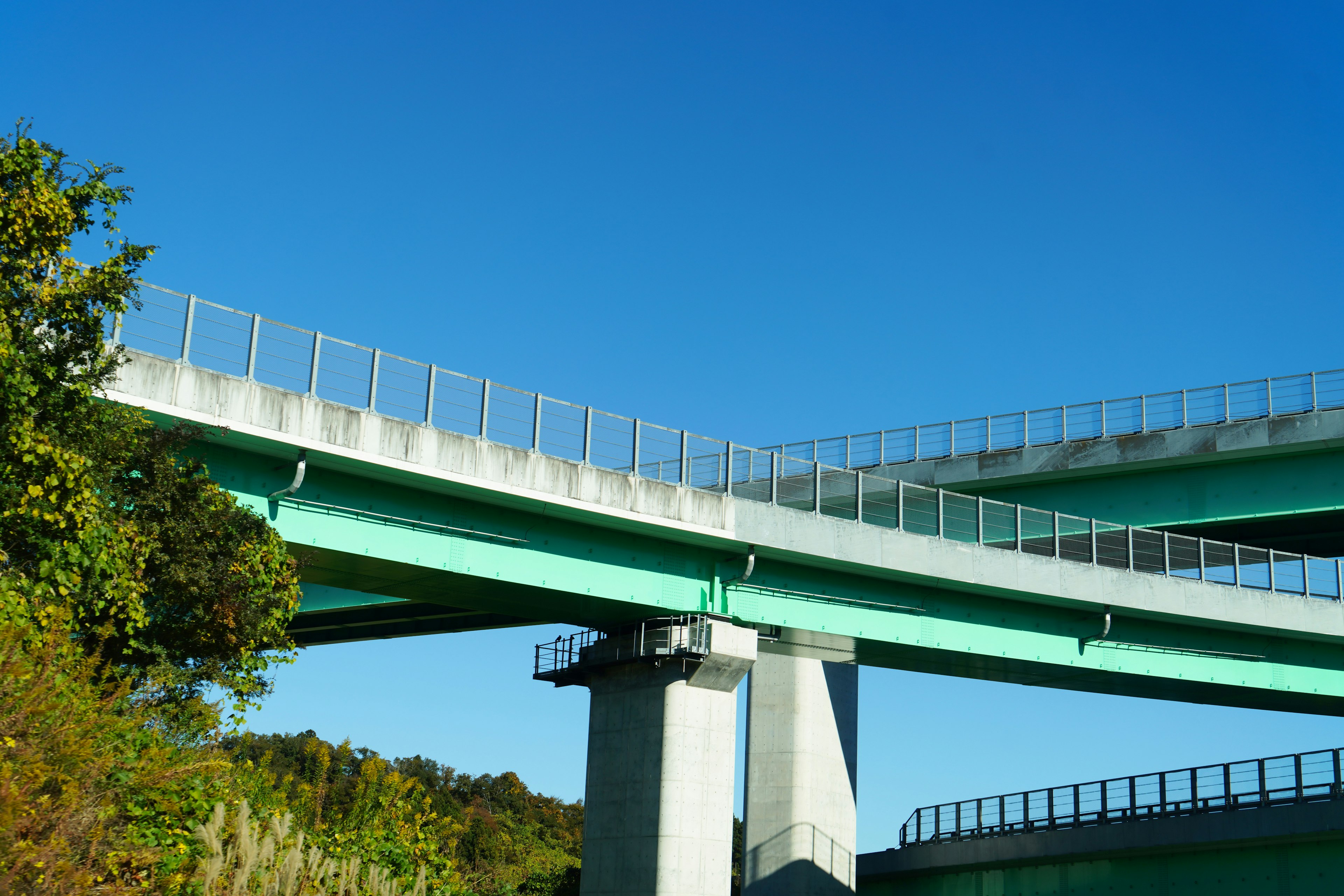 Jembatan hijau yang bersilangan di bawah langit biru cerah dengan alam sekitarnya