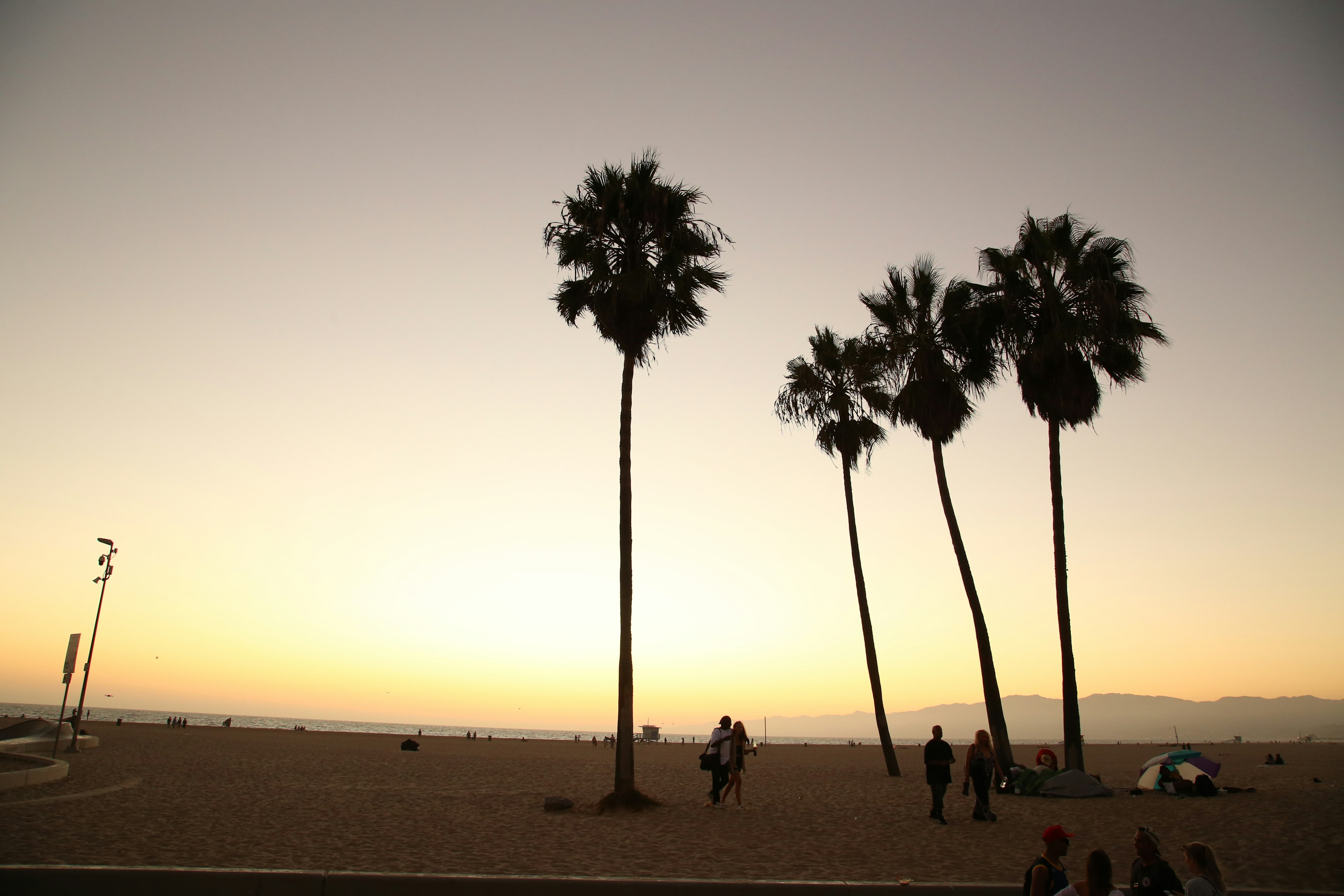 Silhouetted palm trees against a beach sunset with people