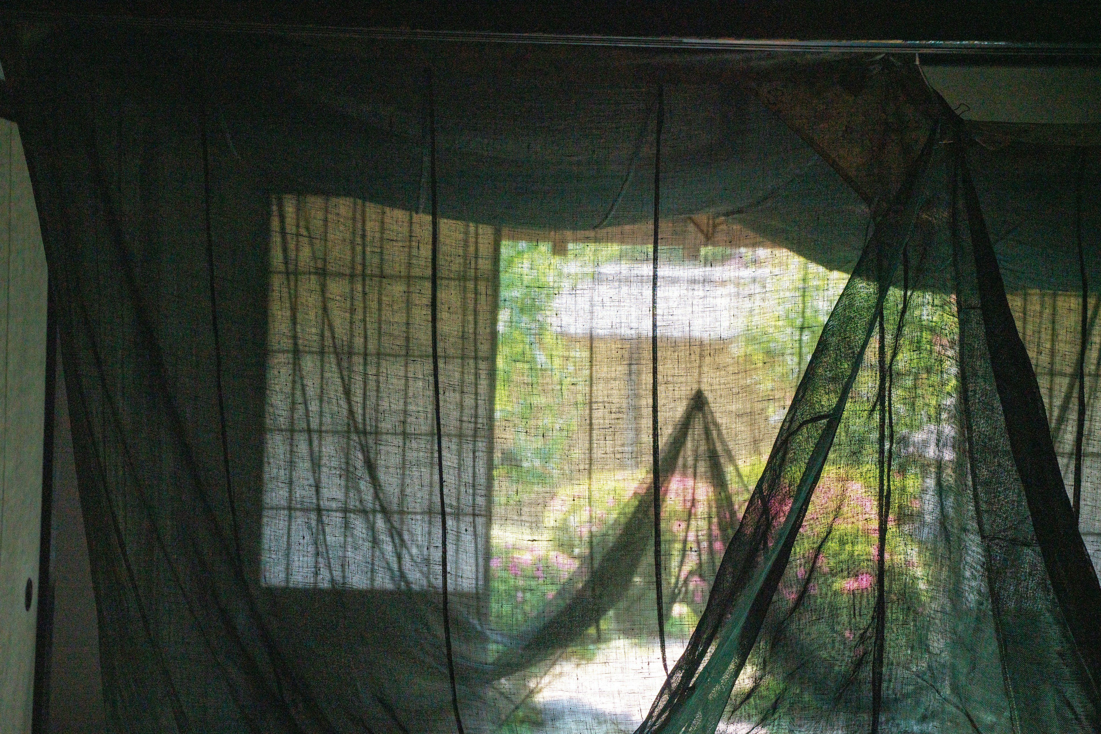 View of a garden through sheer black net curtains