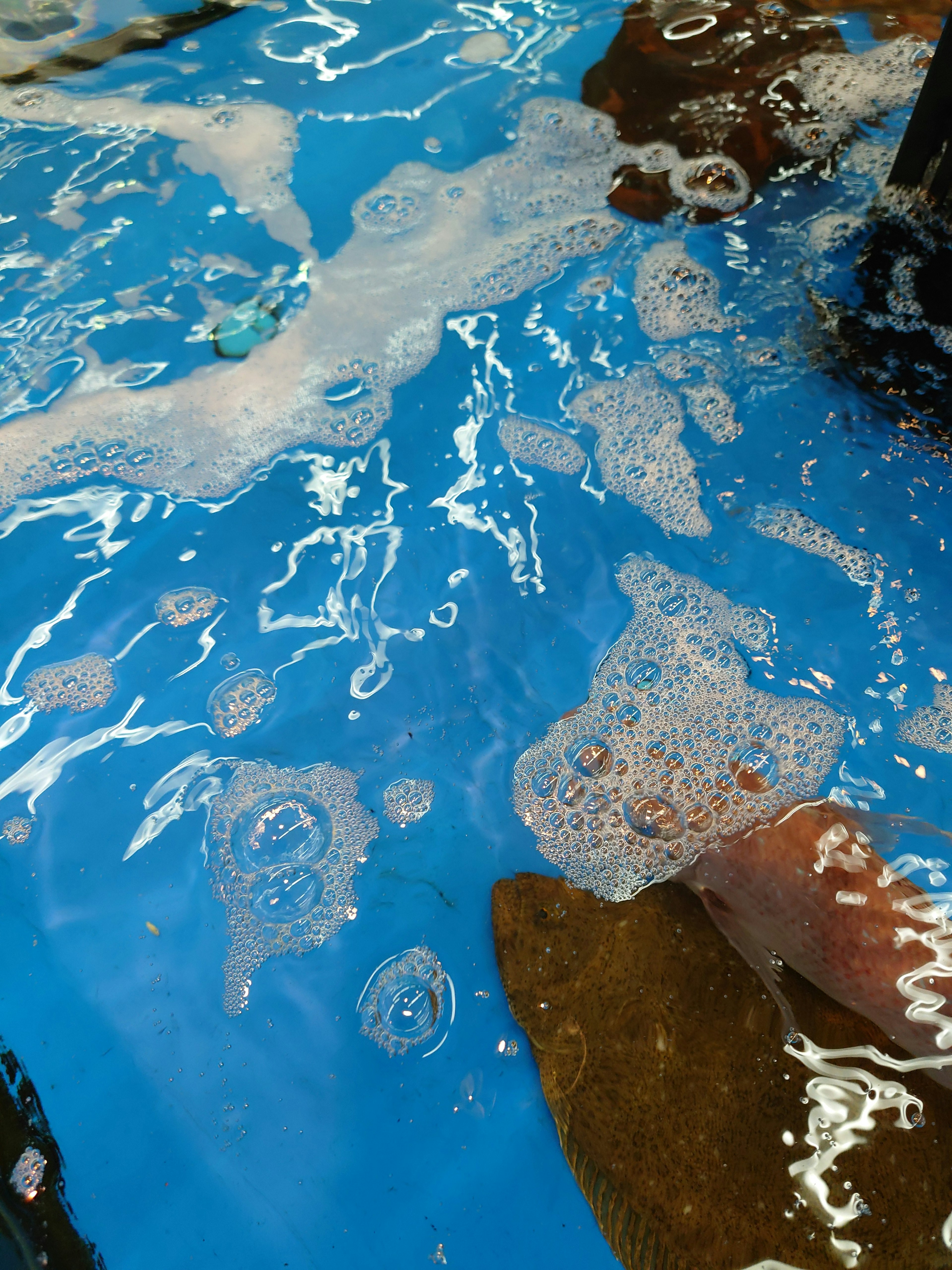 Blue water surface with bubbles and rocks